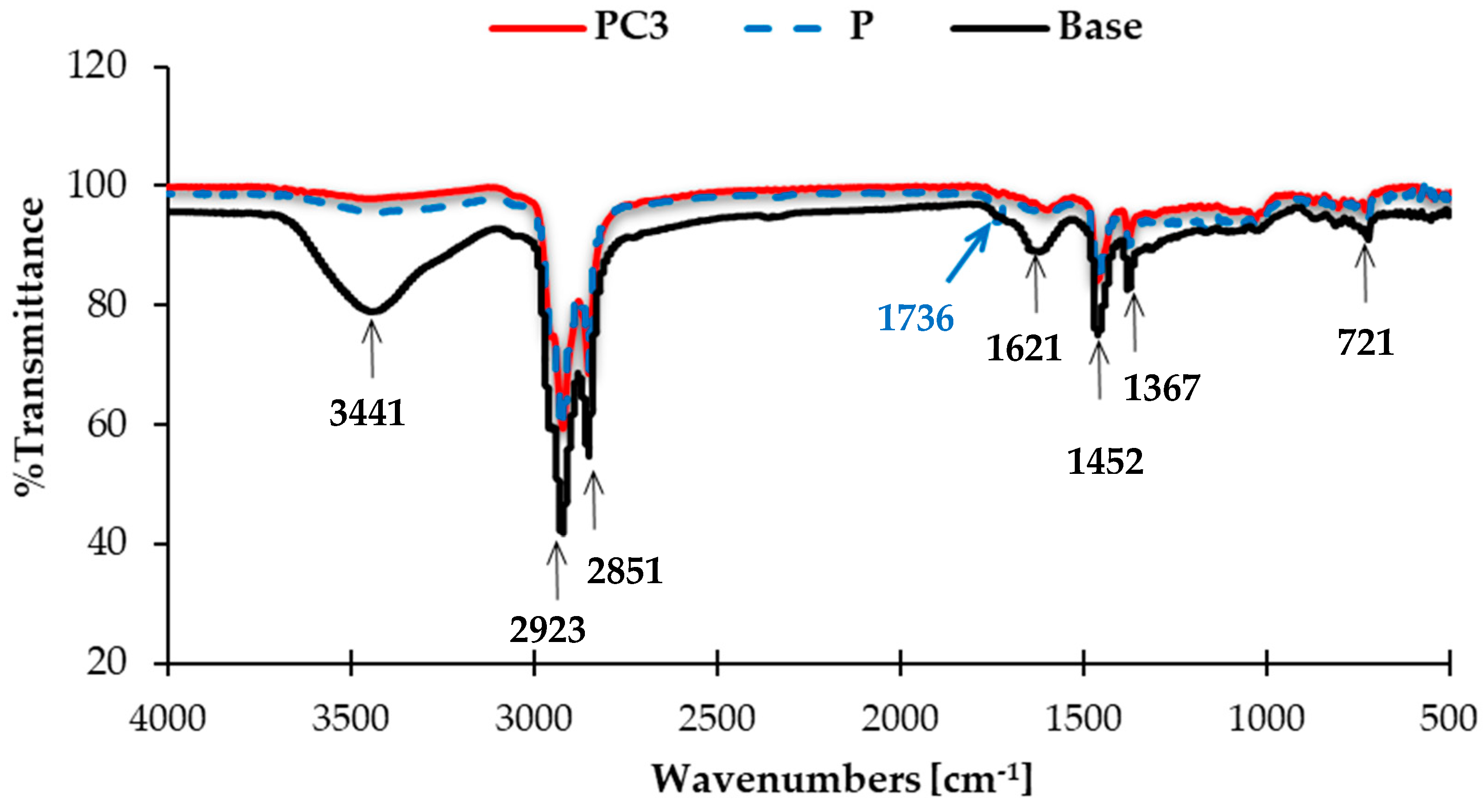 Polymers 13 00434 g006 550