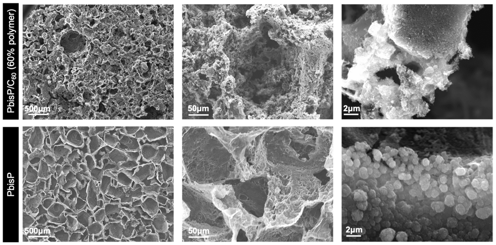 Polymers 13 00436 g007 Polymers 13 00436 g007