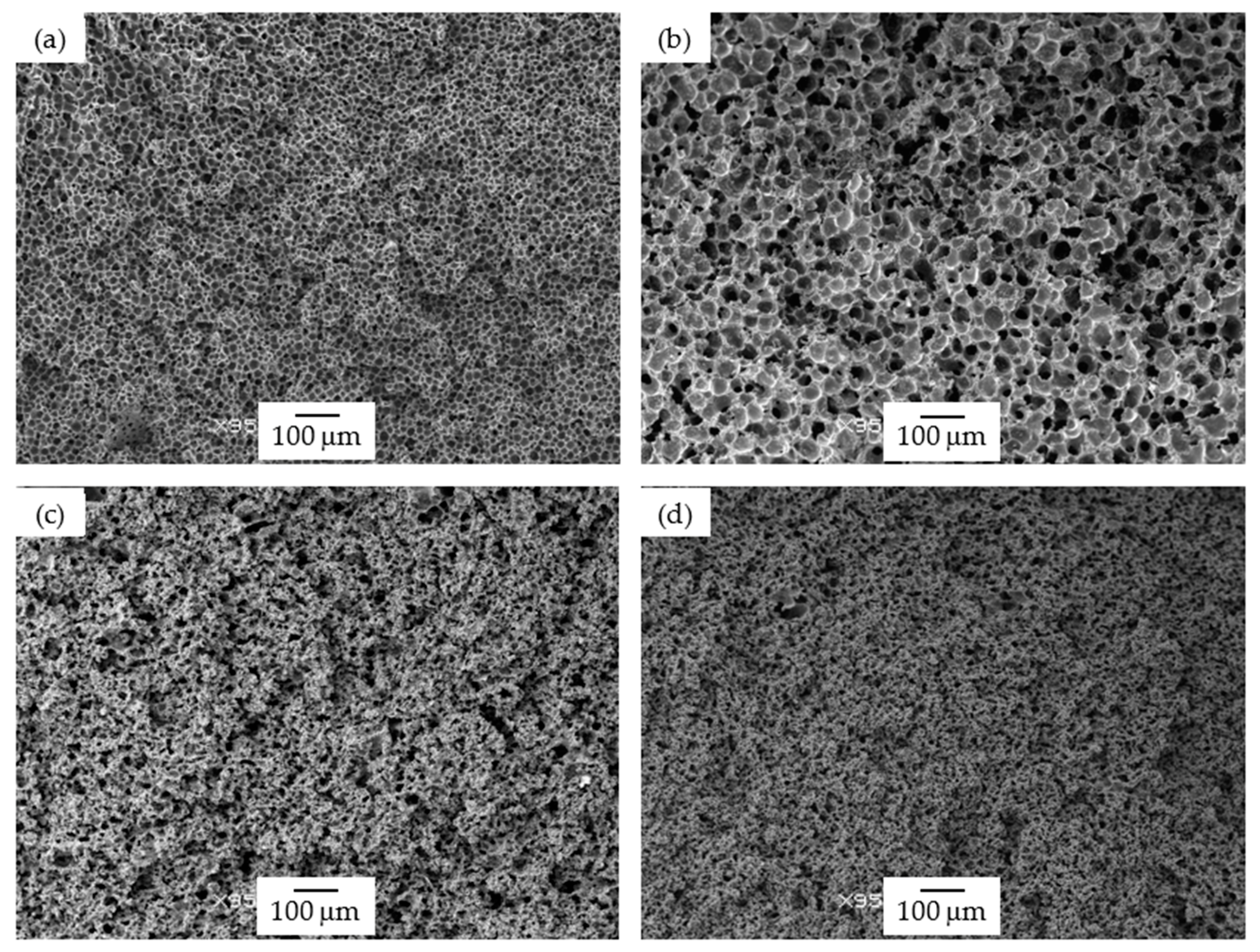 Polymers 13 00437 g002