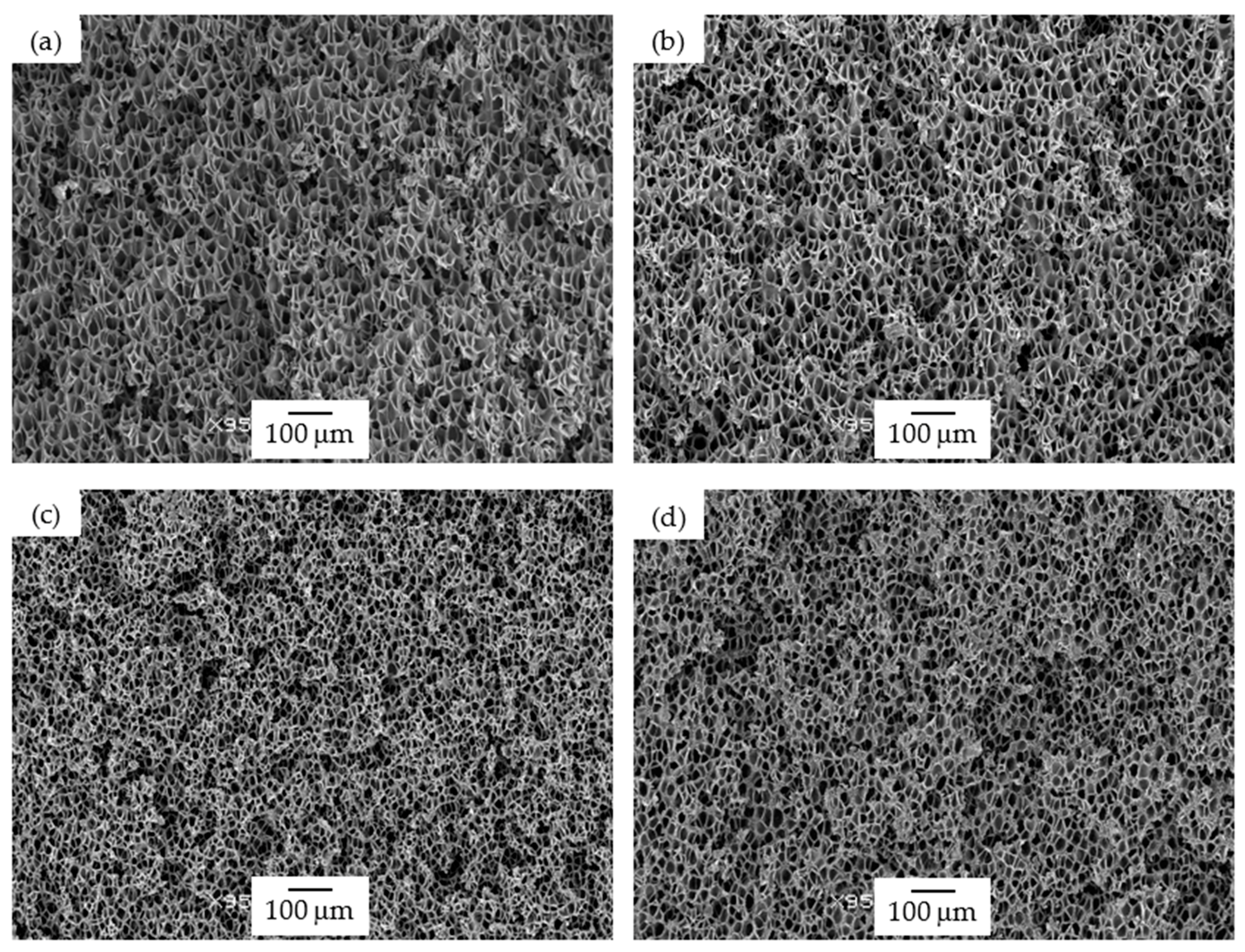 Polymers 13 00437 g003