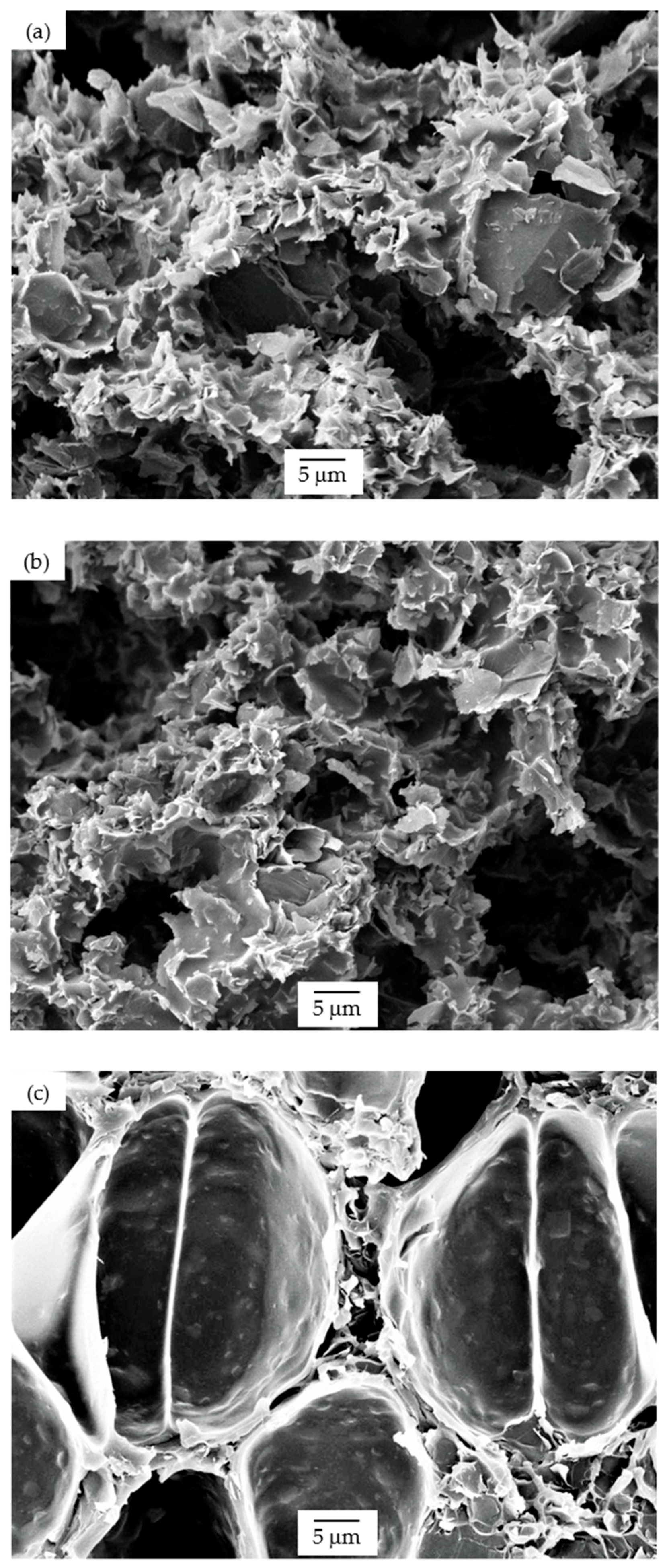 Polymers 13 00437 g009