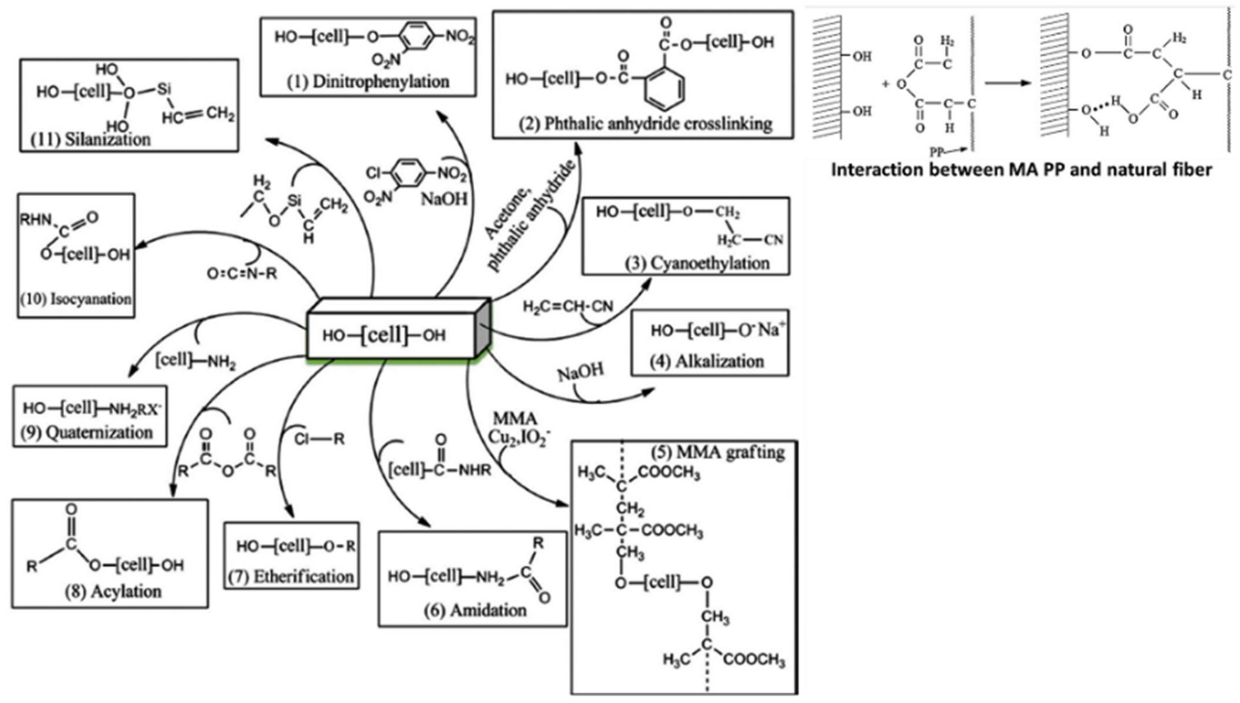 Polymers 13 00438 g004 Polymers 13 00438 g004