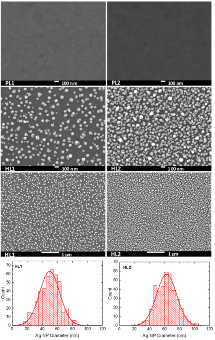 Polymers 13 00439 g004 Polymers 13 00439 g004