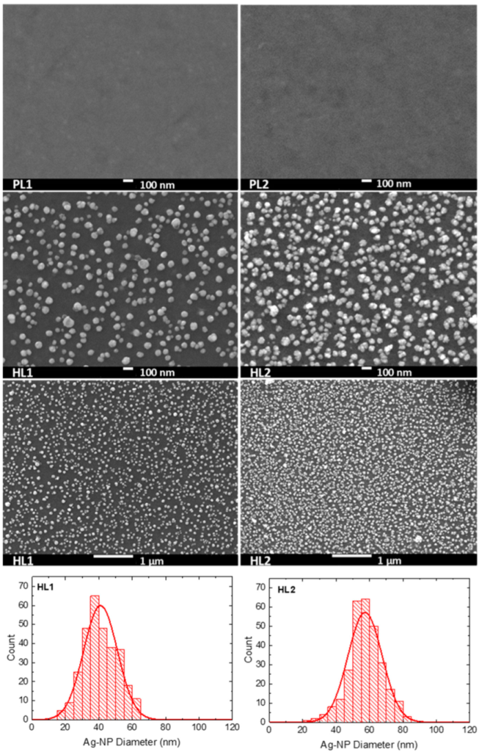 Polymers 13 00439 g005 Polymers 13 00439 g005