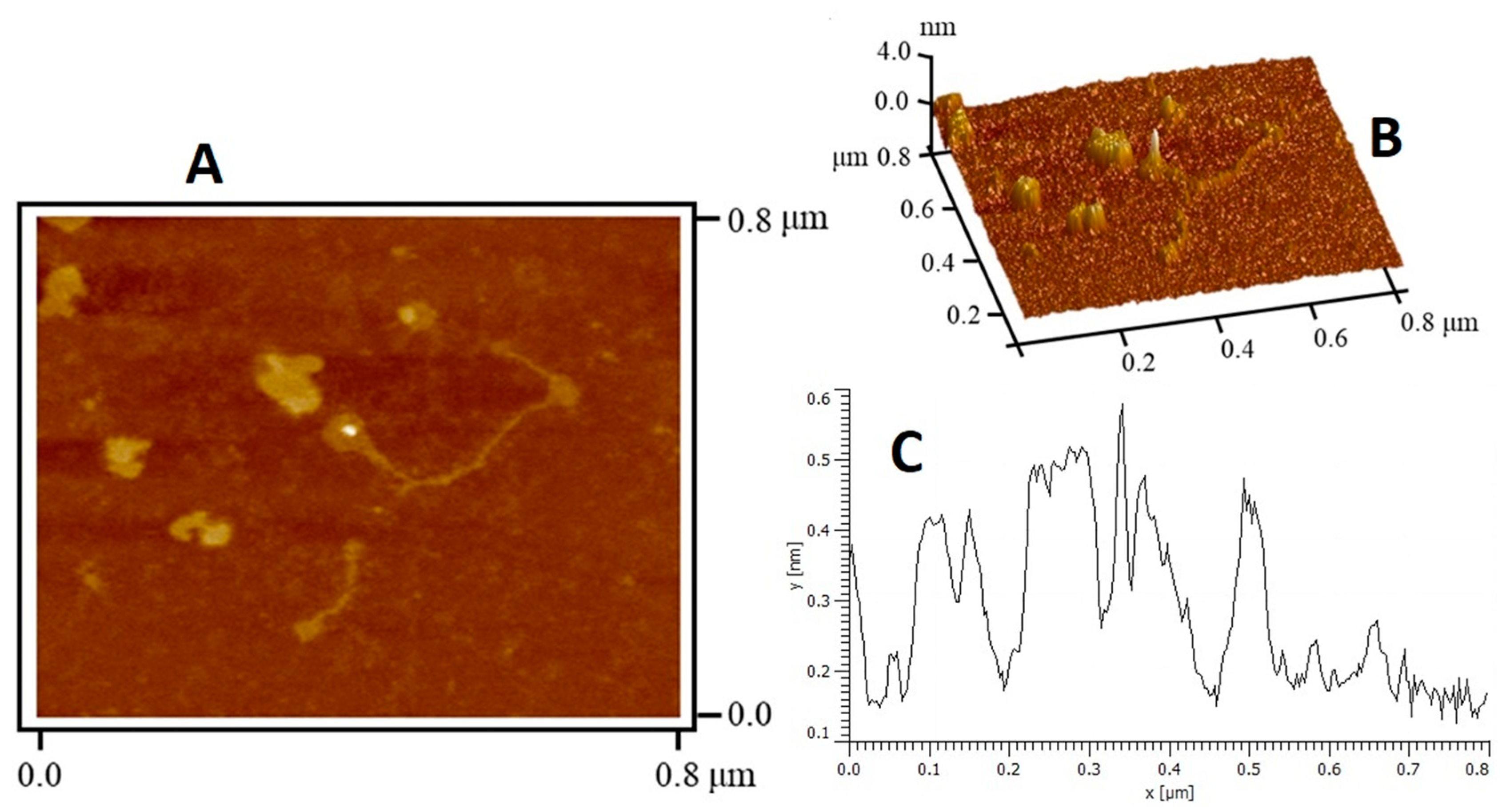 Polymers 13 00442 g003