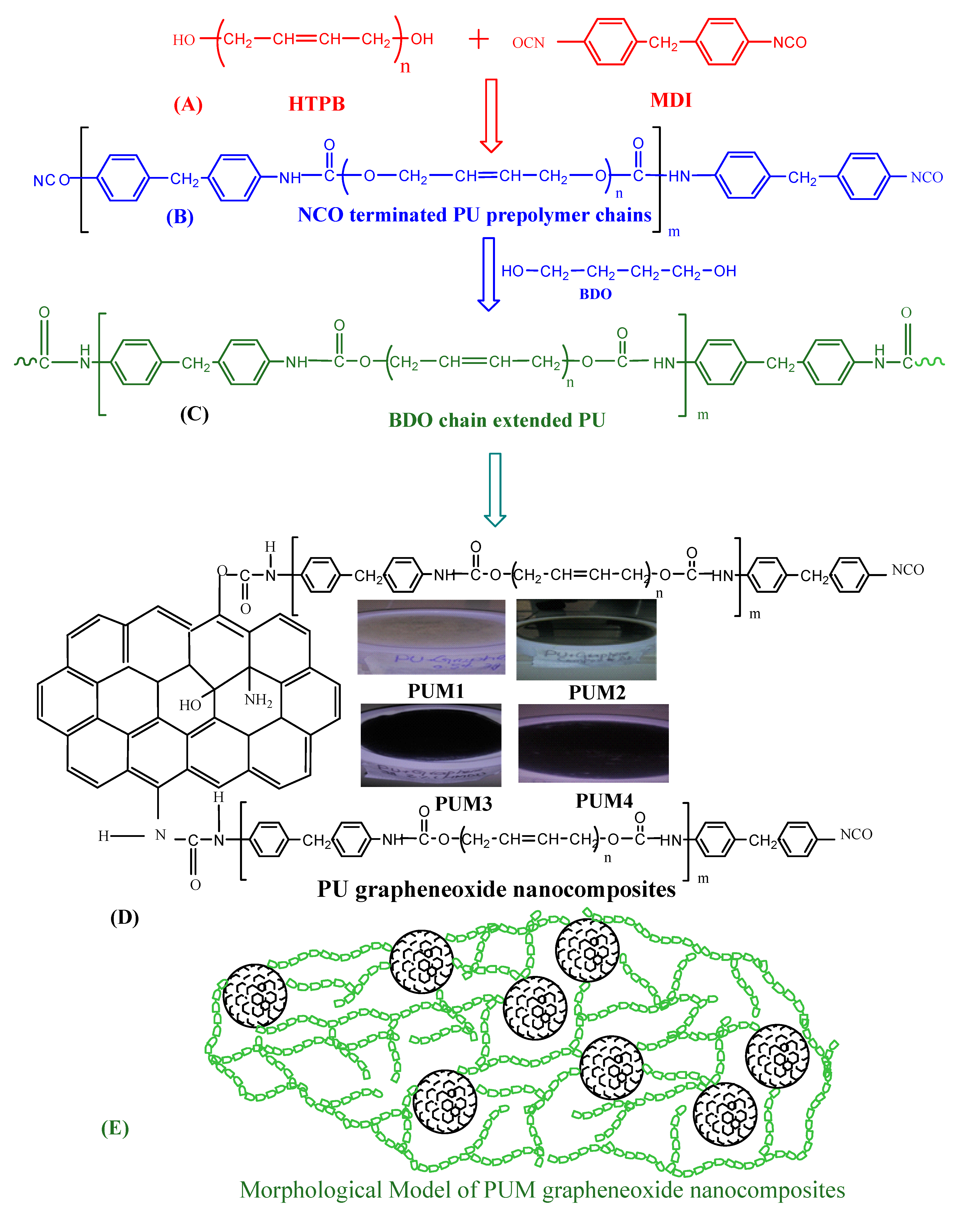 Polymers 13 00444 g001a Polymers 13 00444 g001a