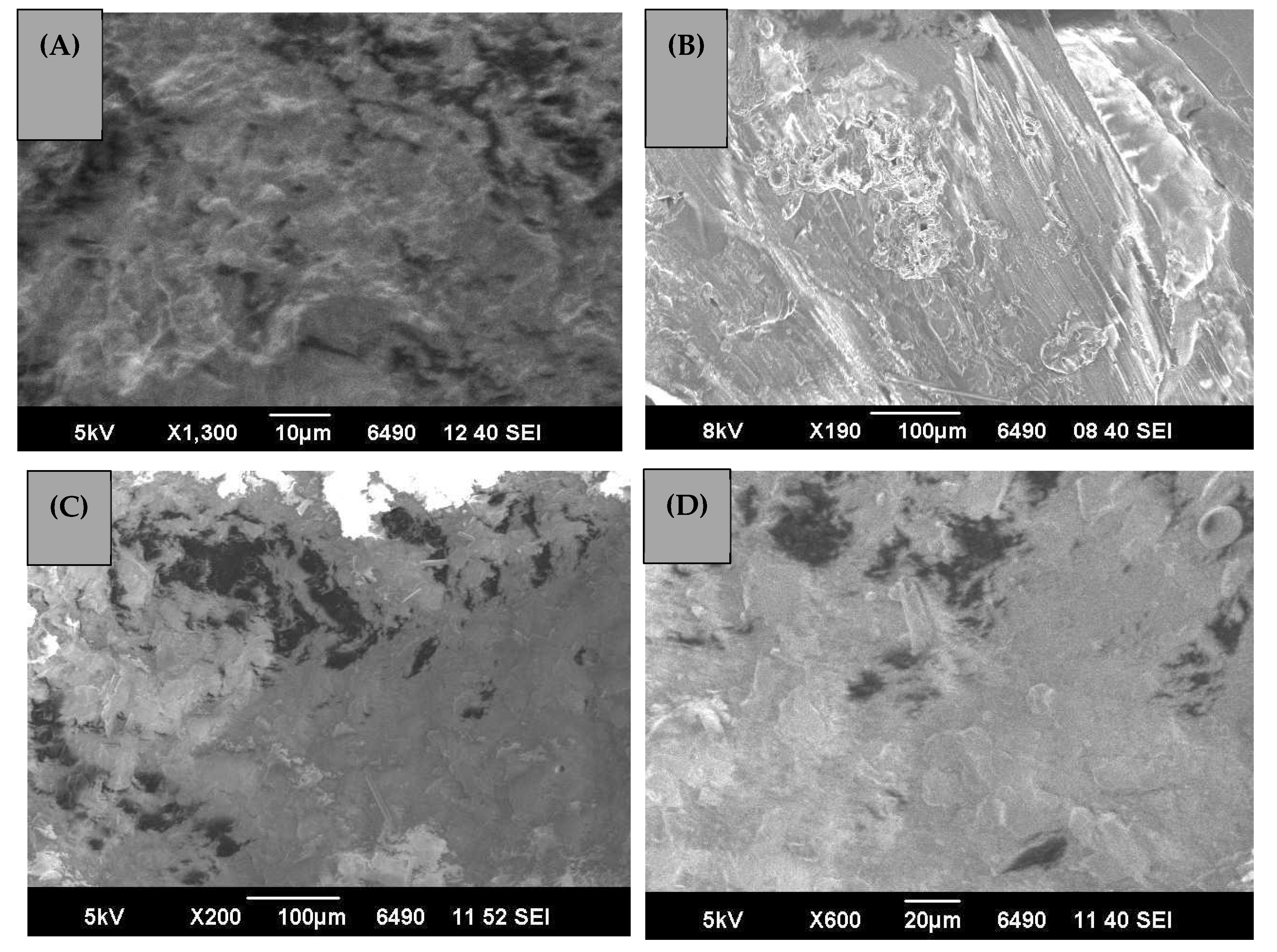 Polymers 13 00444 g006 Polymers 13 00444 g006