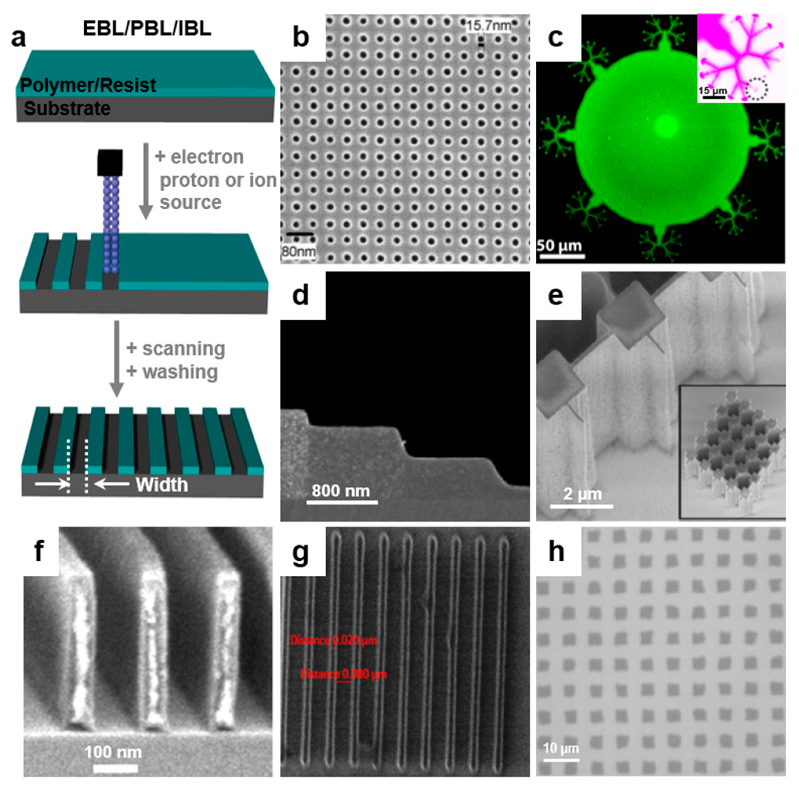 Polymers 13 00445 g004 Polymers 13 00445 g004