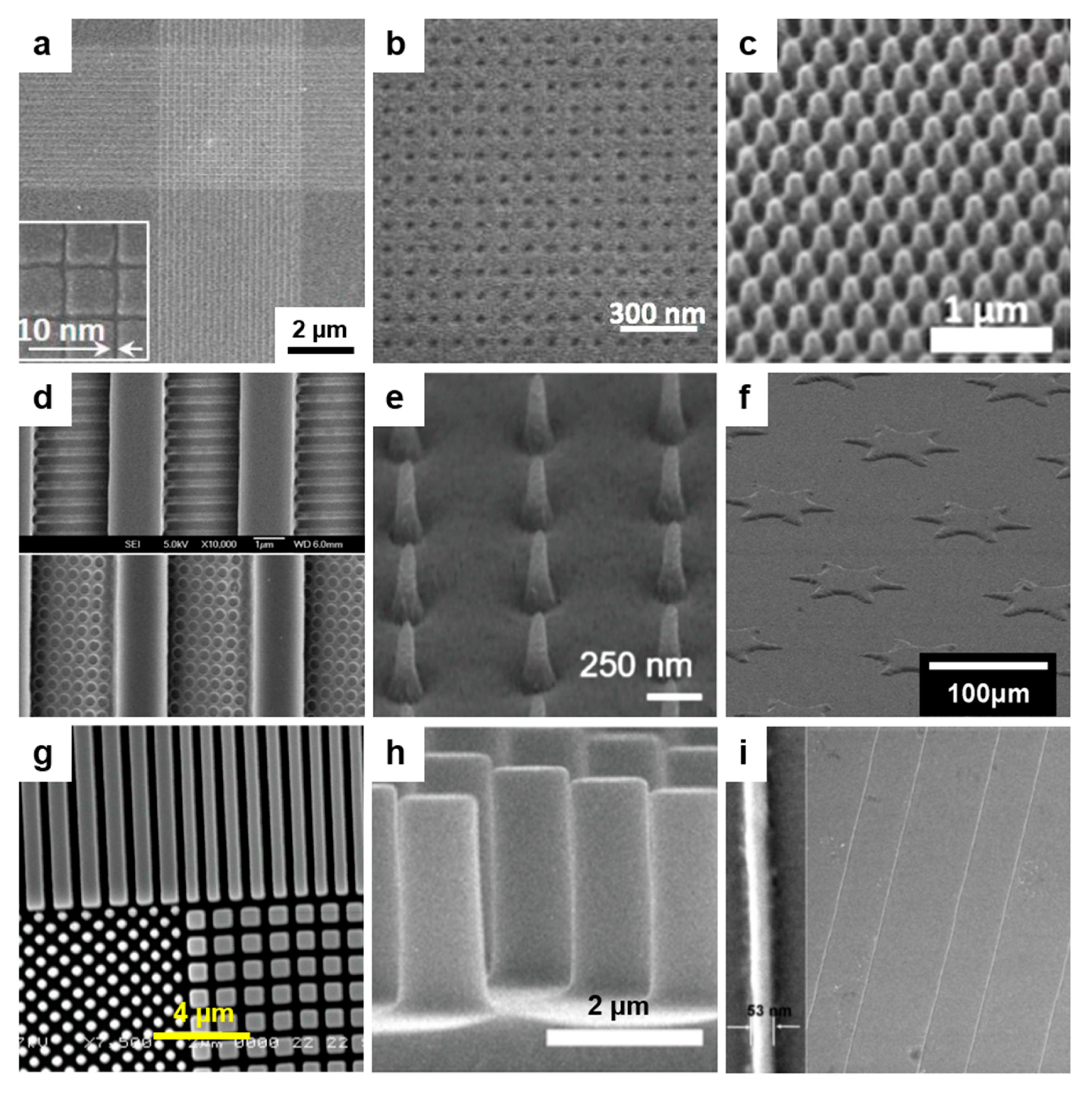 Polymers 13 00445 g006 Polymers 13 00445 g006