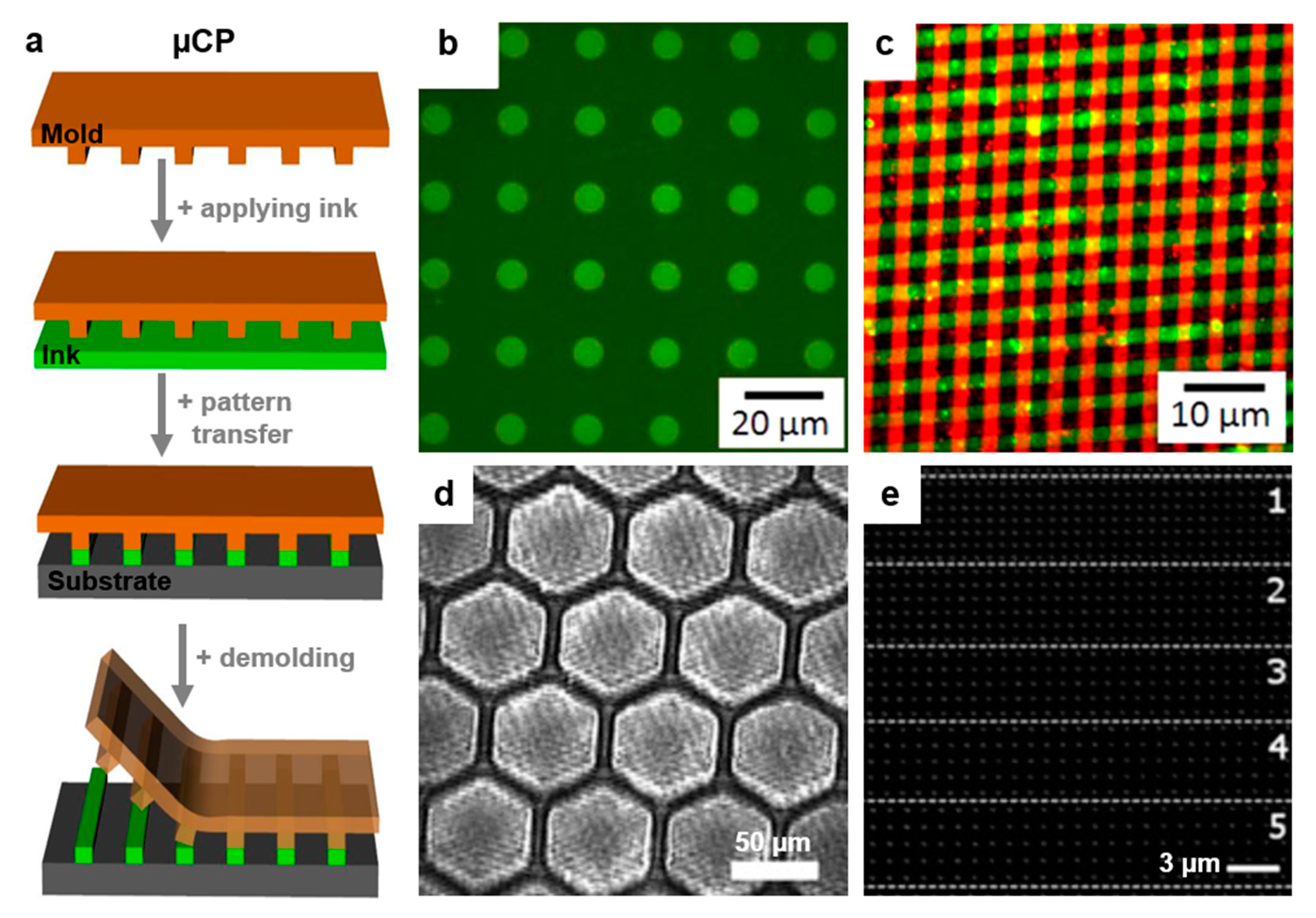 Polymers 13 00445 g007 Polymers 13 00445 g007
