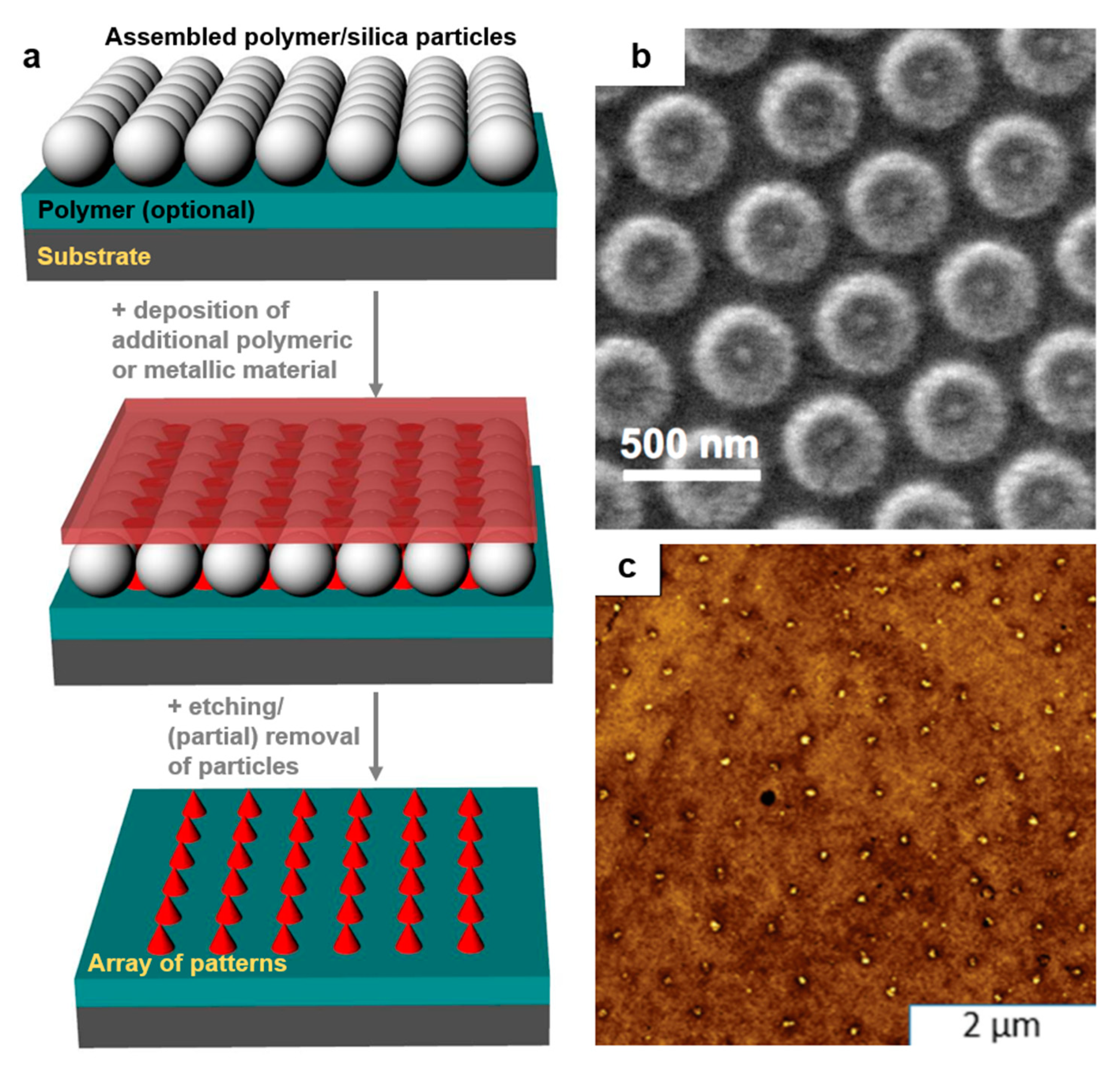 Polymers 13 00445 g010 Polymers 13 00445 g010