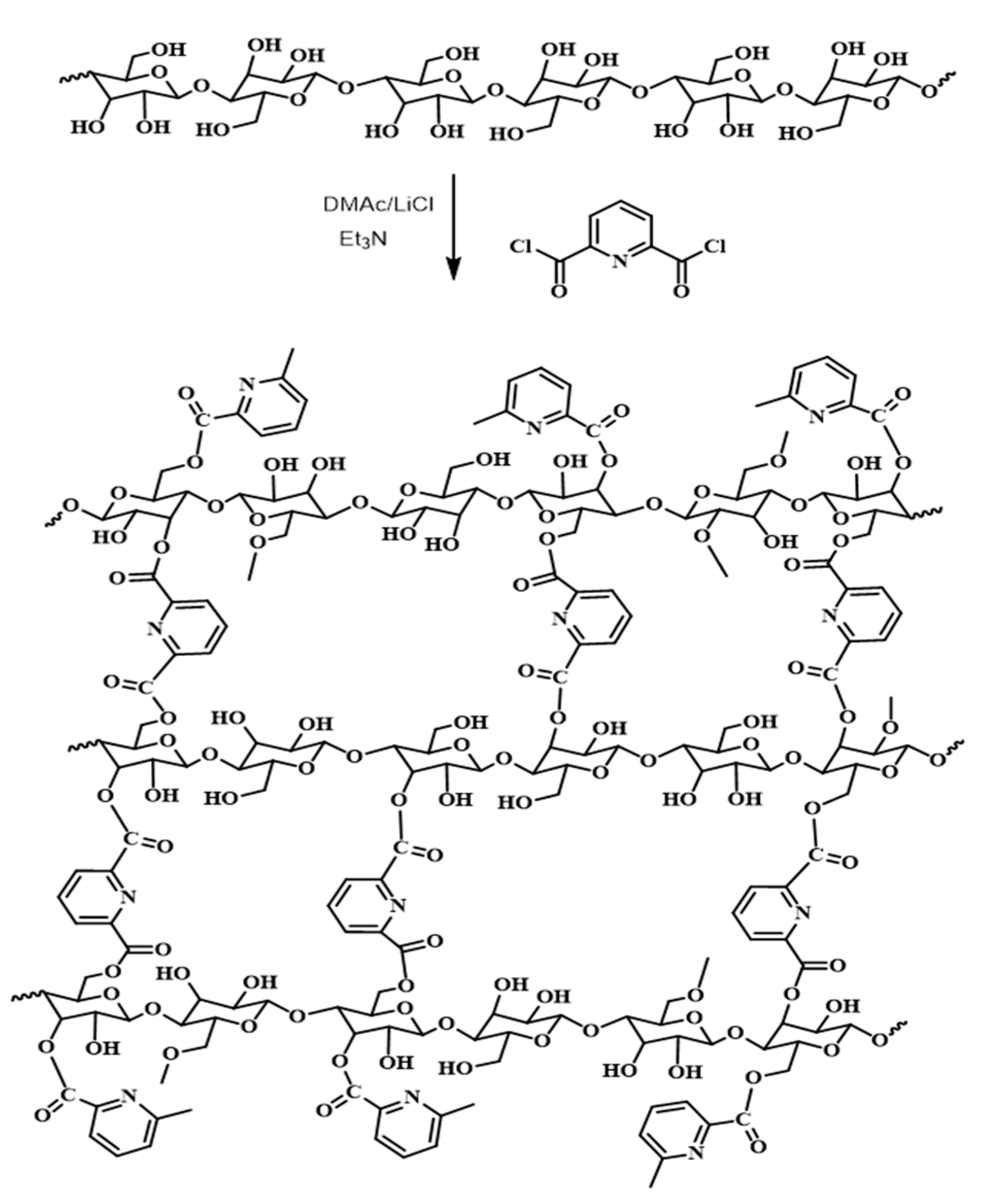 Polymers 13 00450 sch002 Polymers 13 00450 sch002
