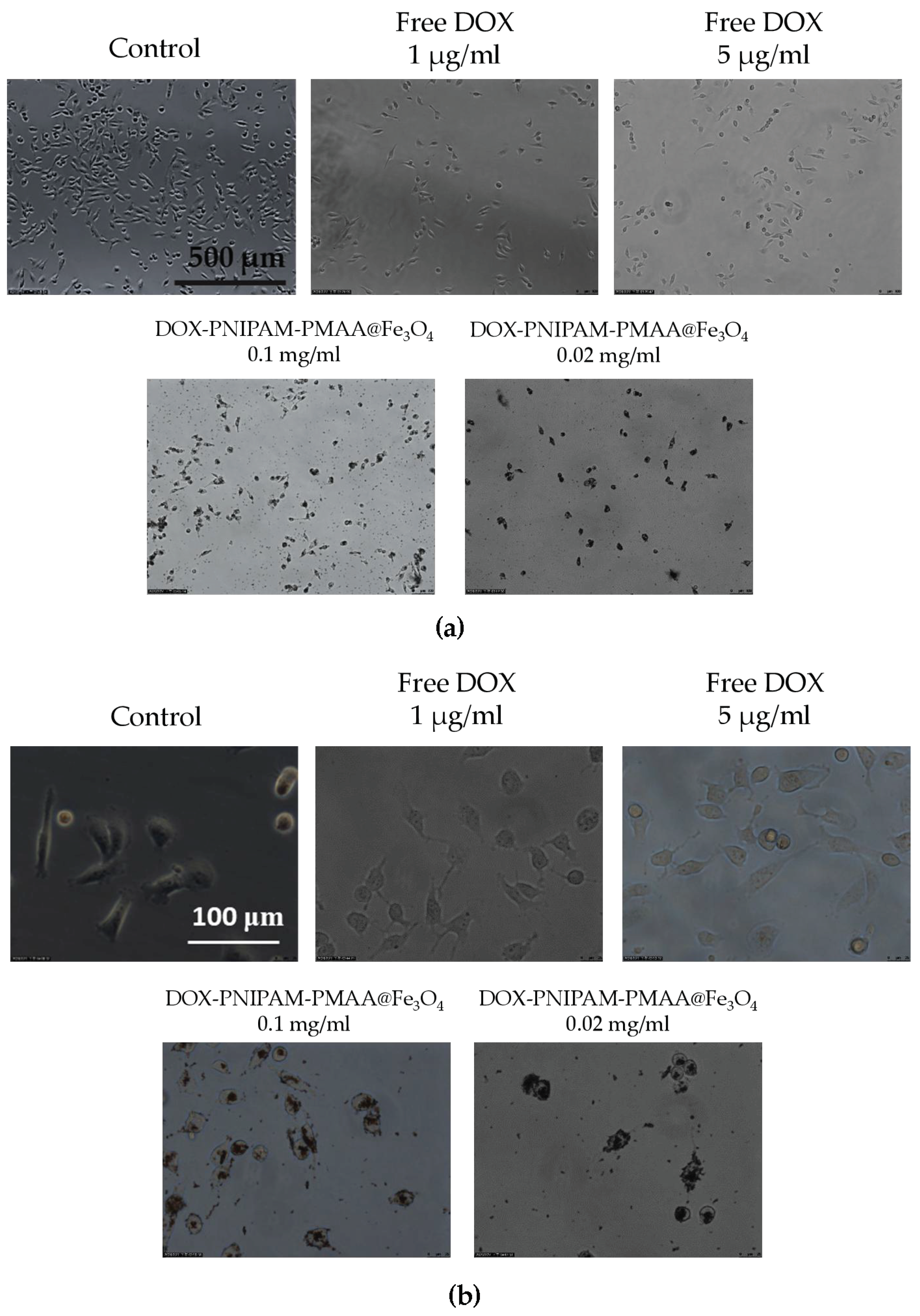 Polymers 13 00451 g008