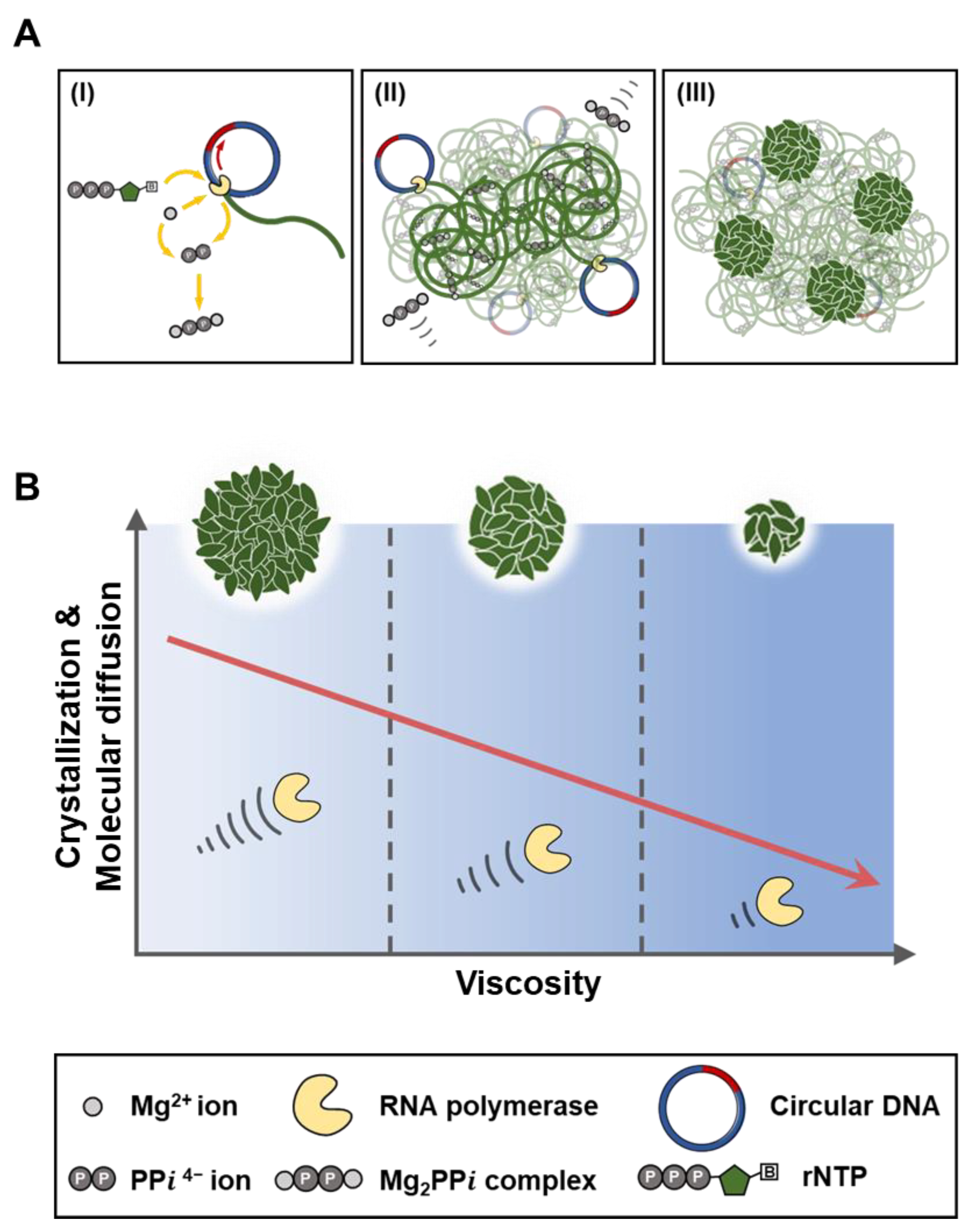 Polymers 13 00454 g001