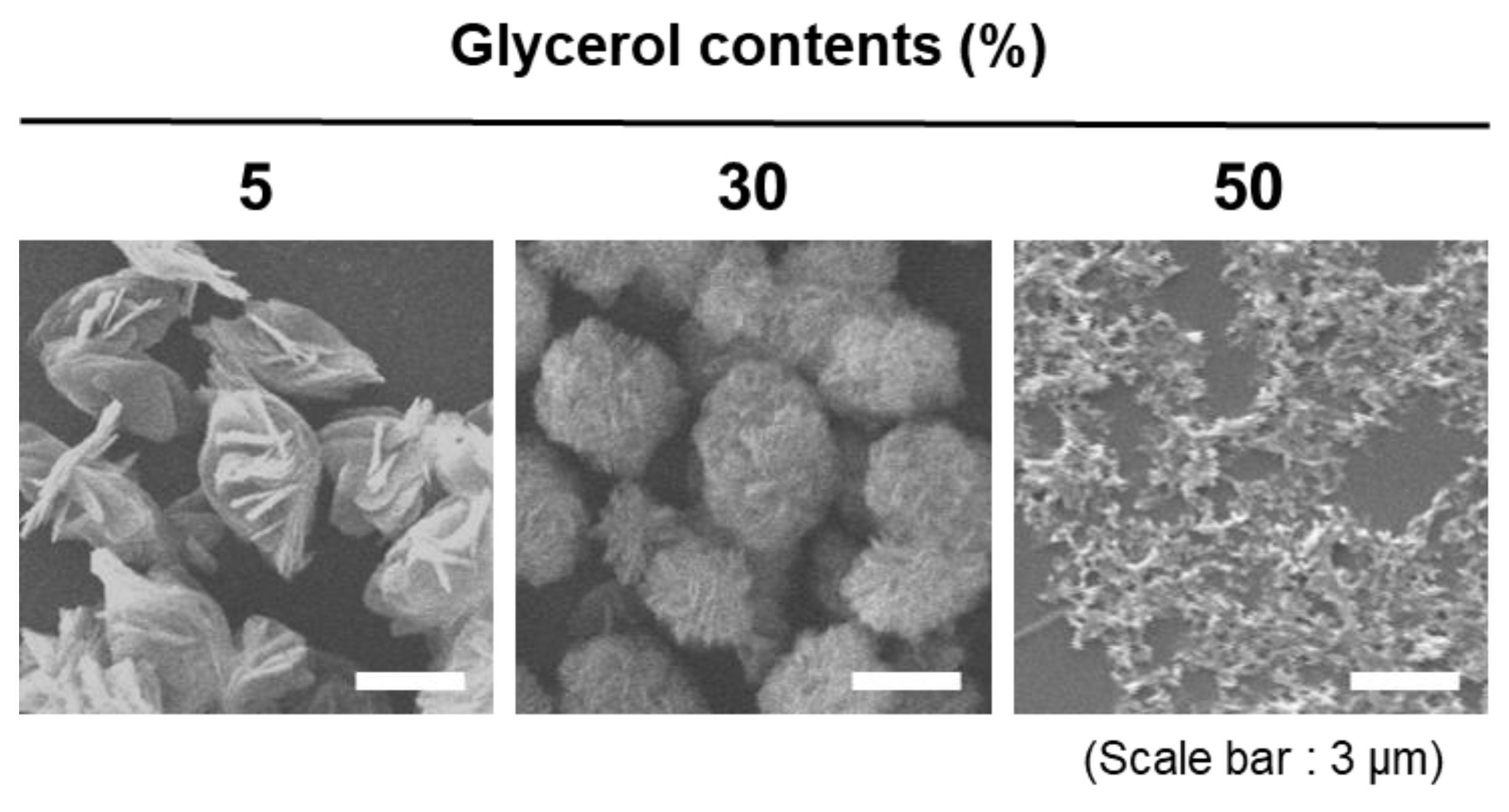 Polymers 13 00454 g003