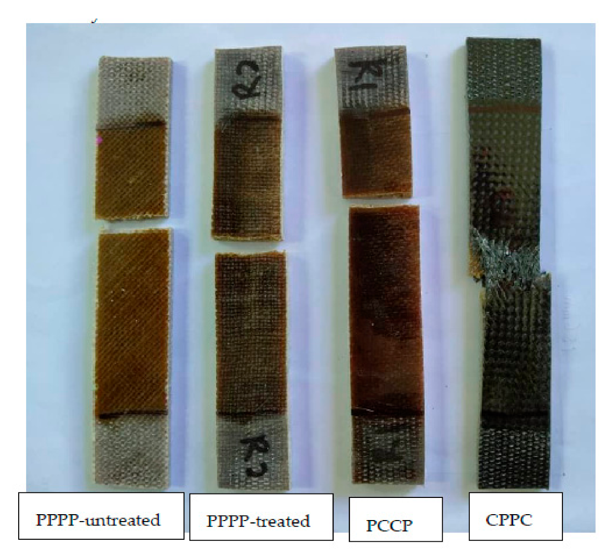 Polymers 13 00455 g006 Polymers 13 00455 g006
