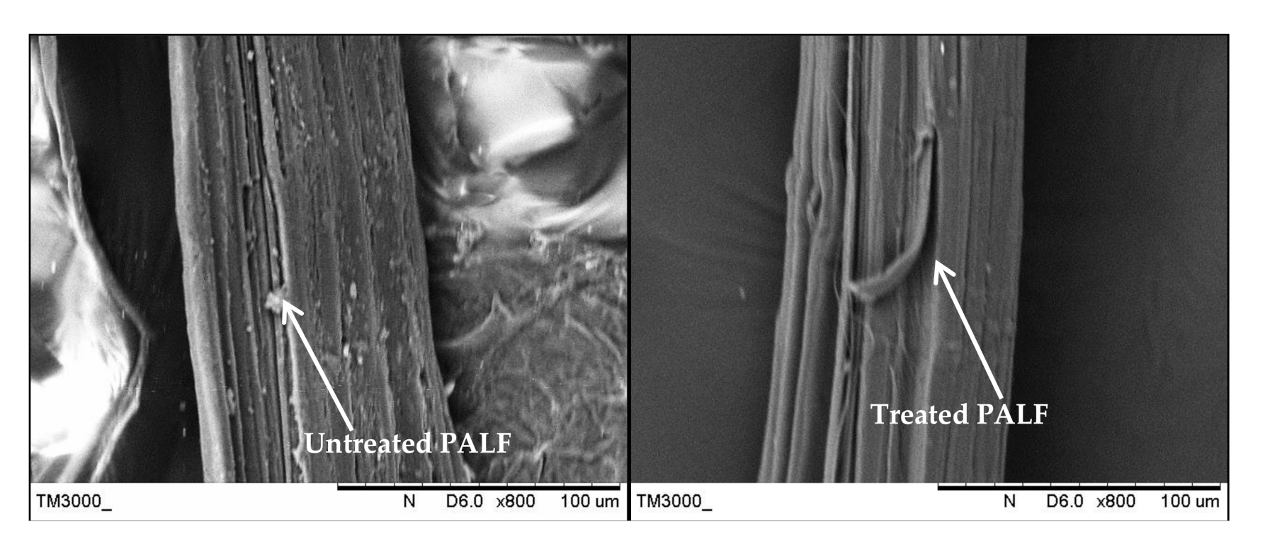 Polymers 13 00455 g007 Polymers 13 00455 g007