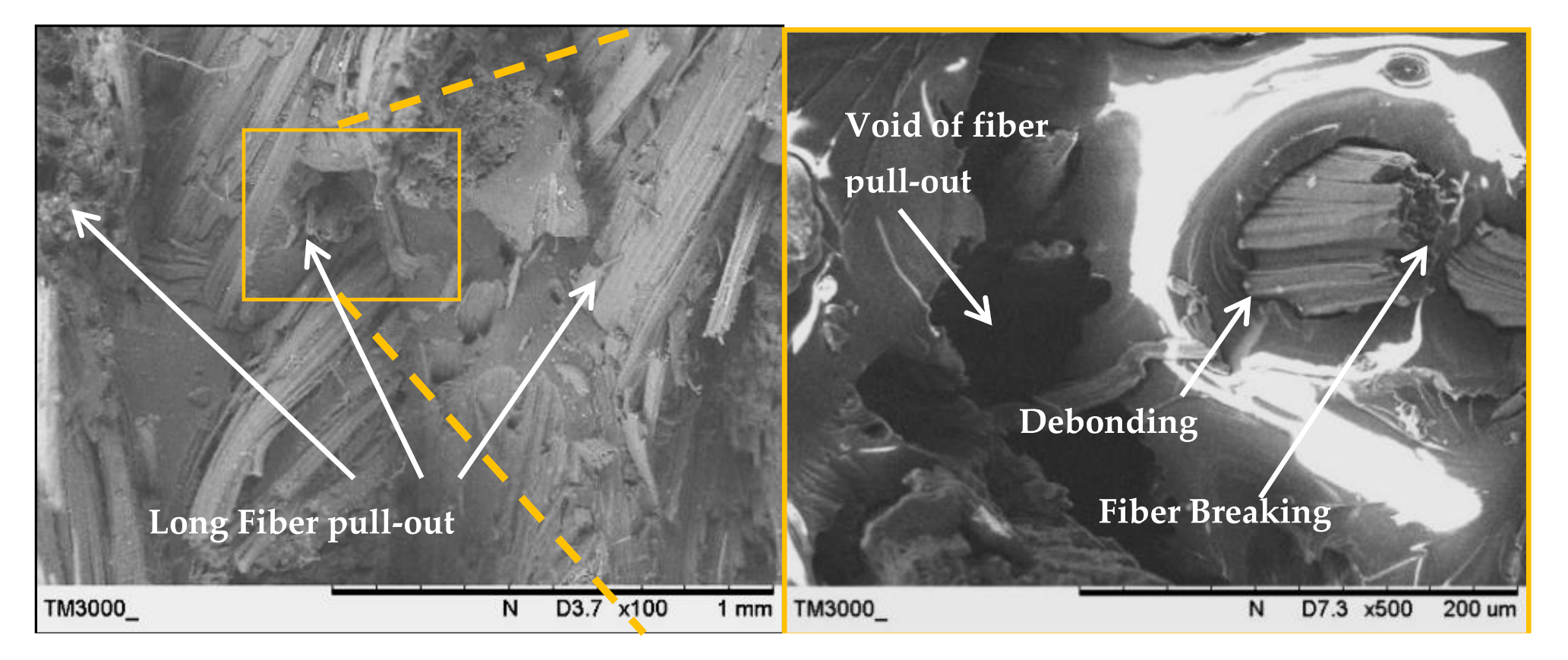 Polymers 13 00455 g009 Polymers 13 00455 g009