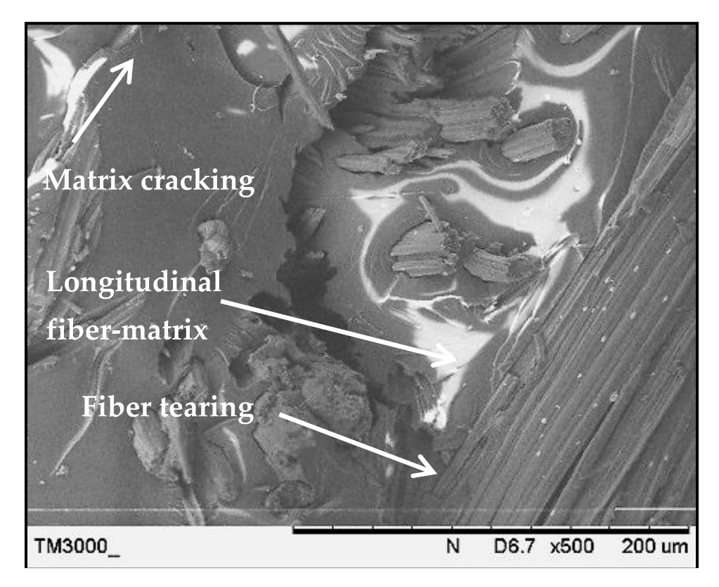 Polymers 13 00455 g010 Polymers 13 00455 g010