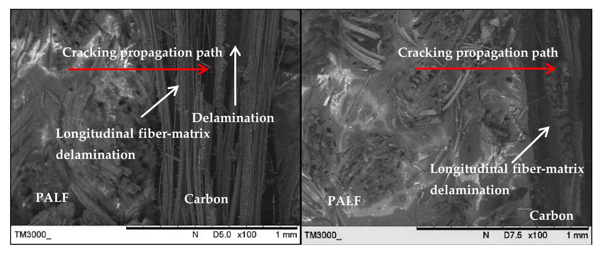 Polymers 13 00455 g011 Polymers 13 00455 g011