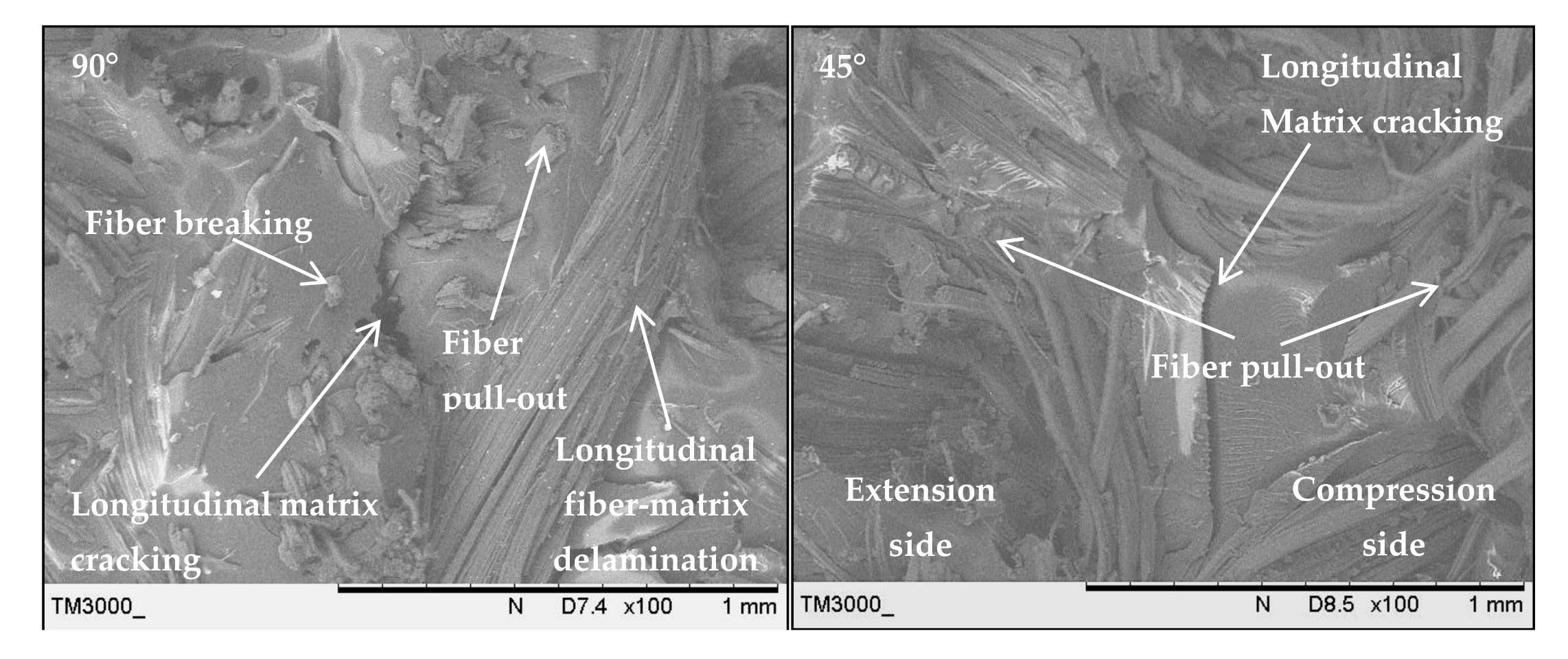Polymers 13 00455 g013 Polymers 13 00455 g013