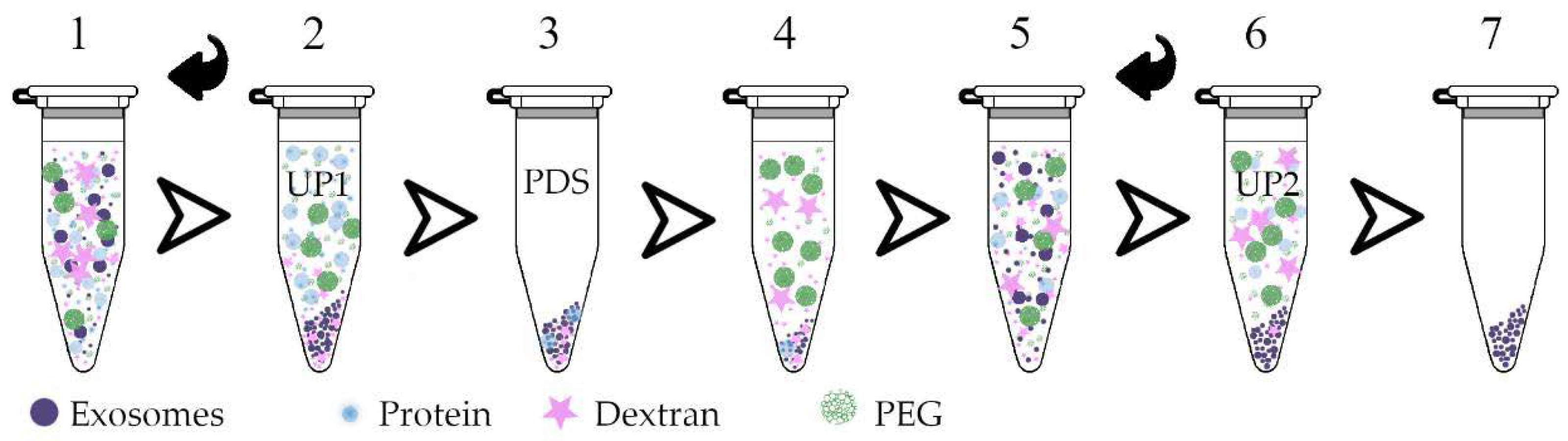 Polymers 13 00458 g002