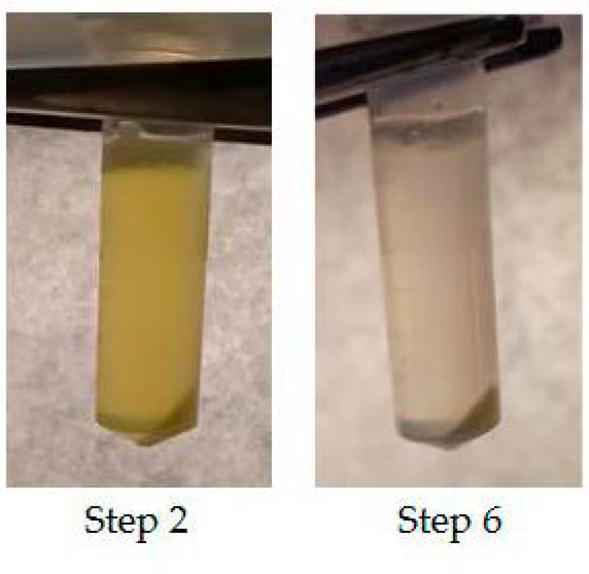 Polymers 13 00458 g003