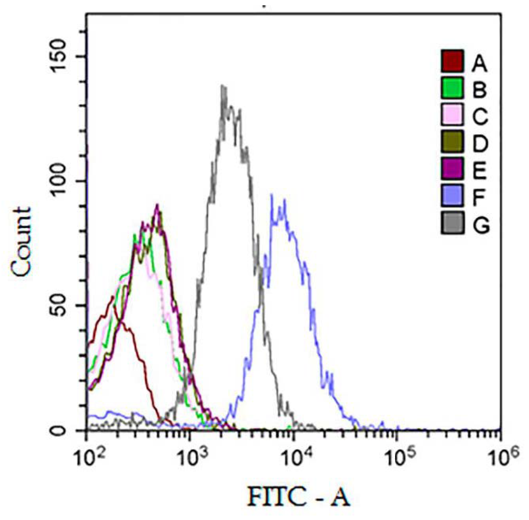 Polymers 13 00458 g010