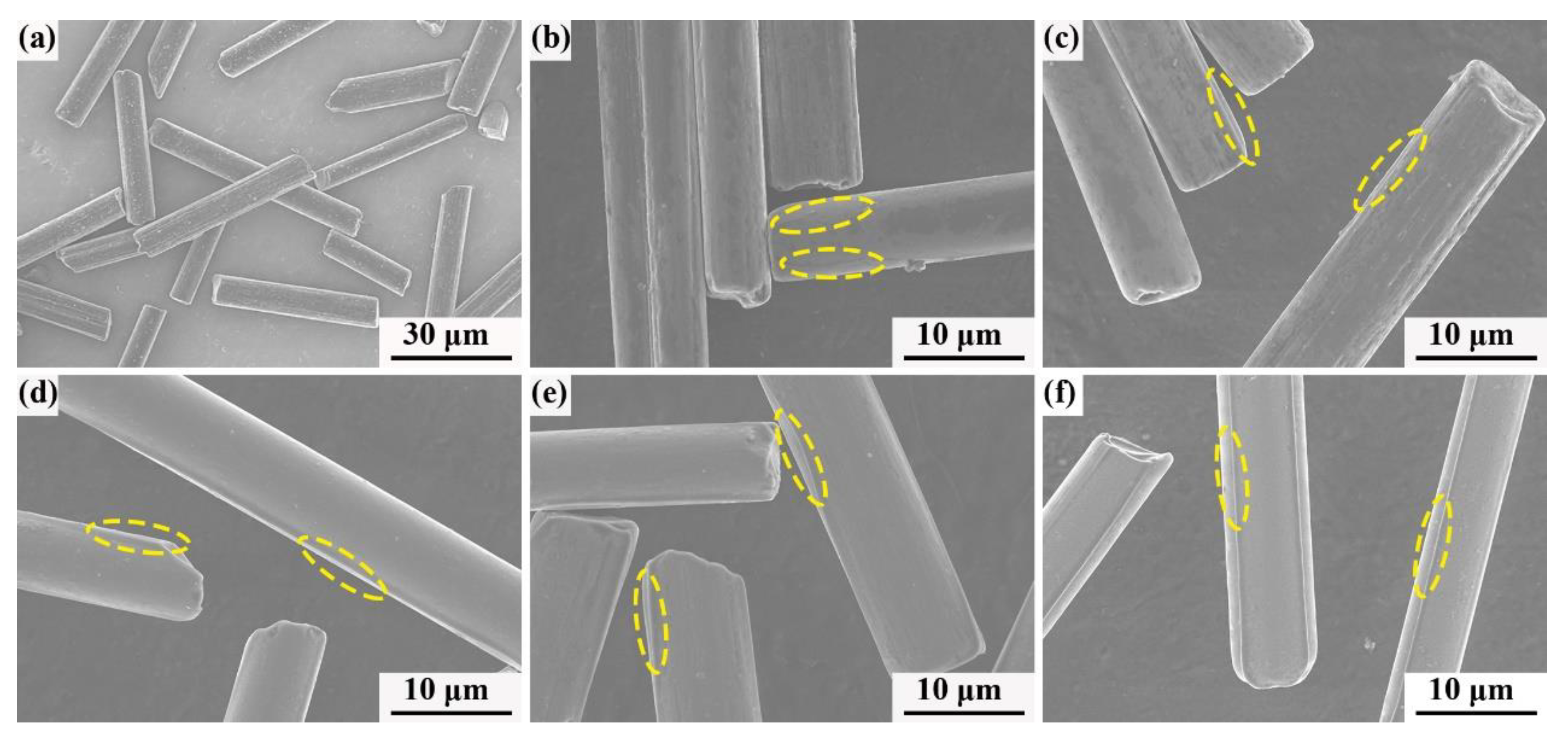 Polymers 13 00463 g007 Polymers 13 00463 g007