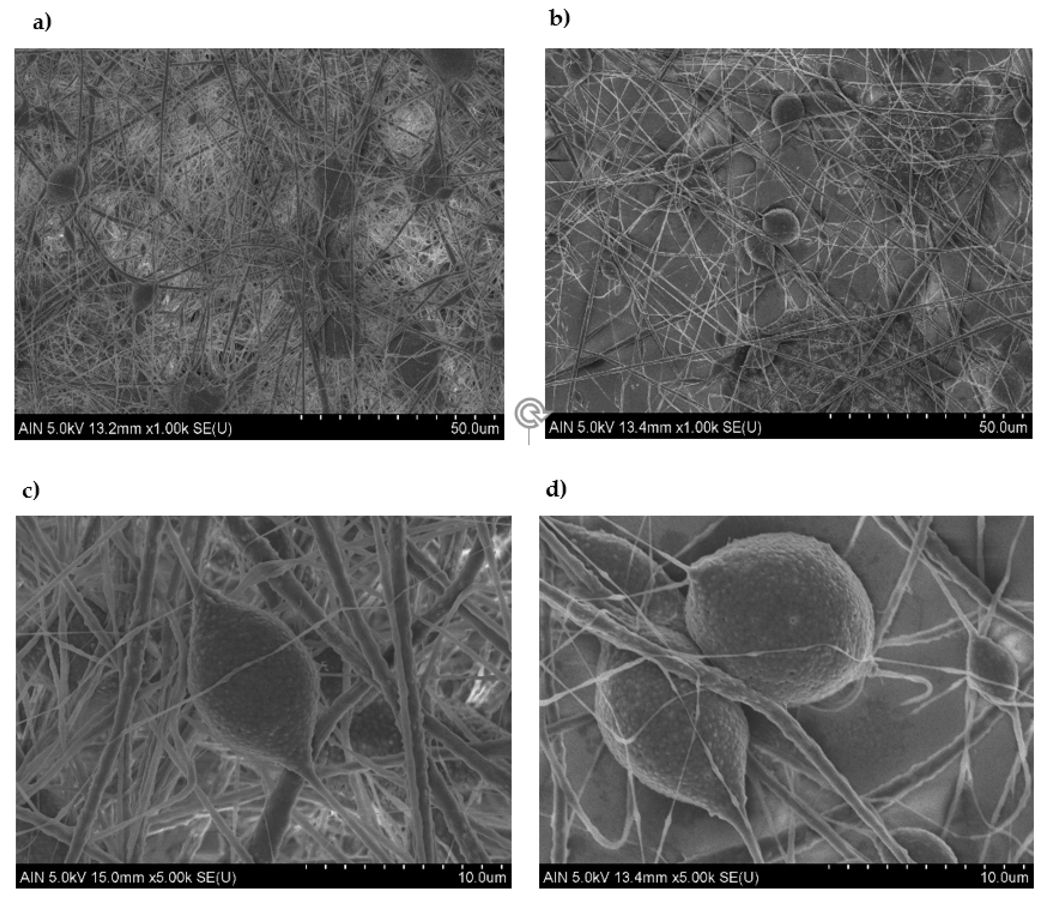 Polymers 13 00464 g006 Polymers 13 00464 g006