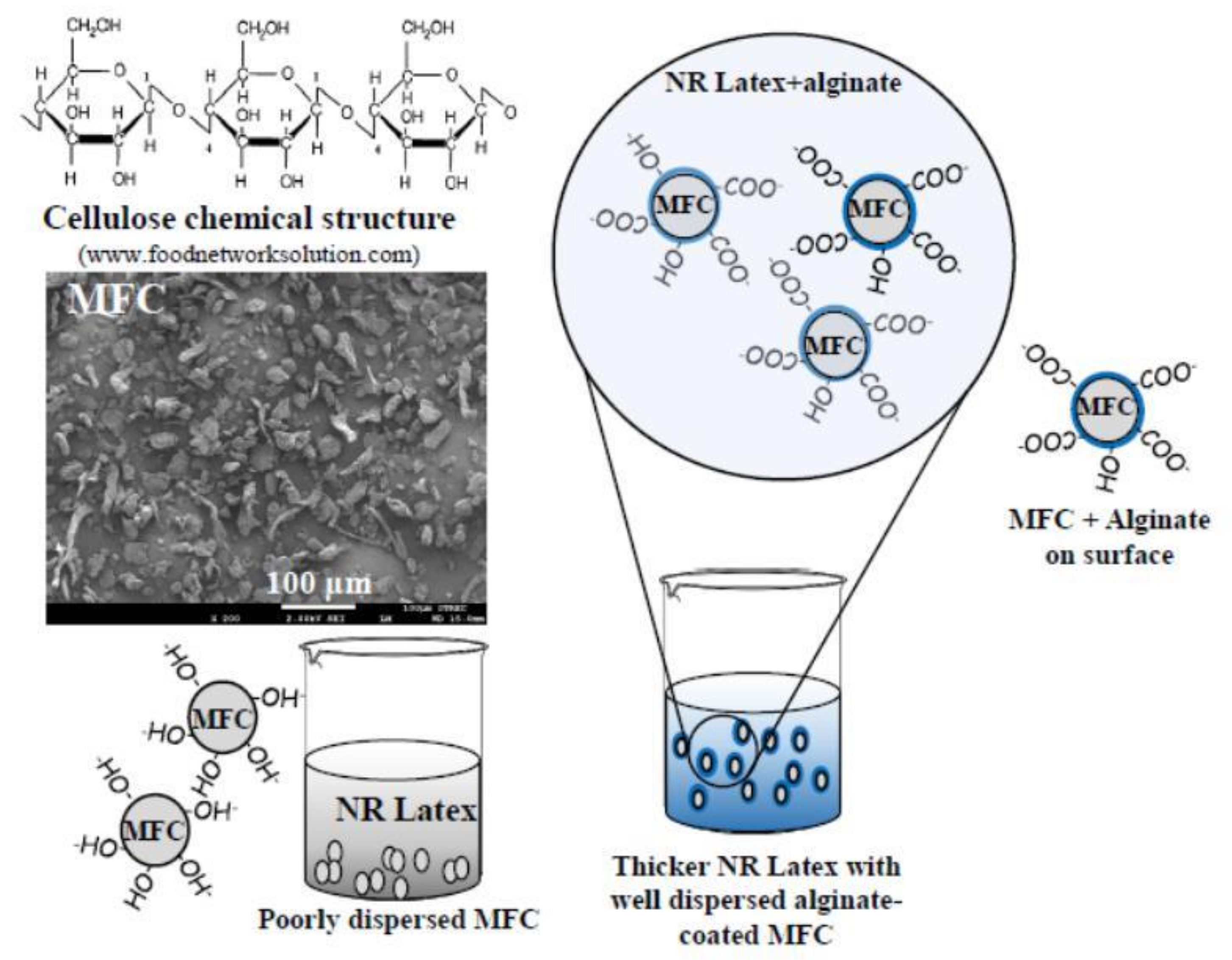 Polymers 13 00468 g001 Polymers 13 00468 g001