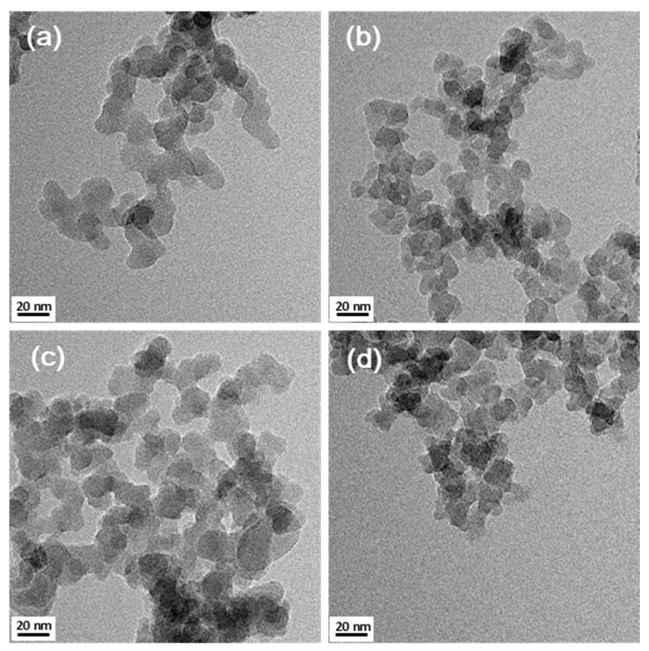 Polymers 13 00469 g004