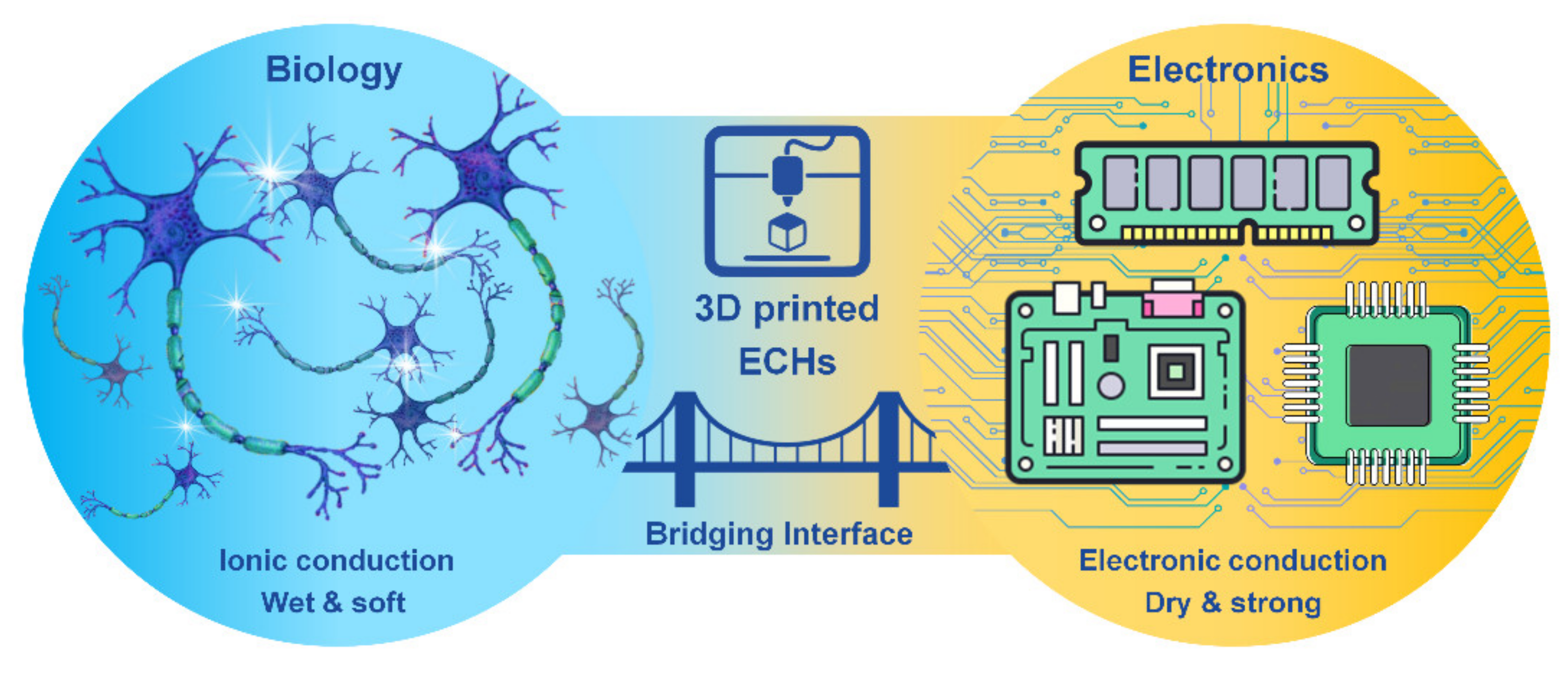 Polymers 13 00474 g001 Polymers 13 00474 g001
