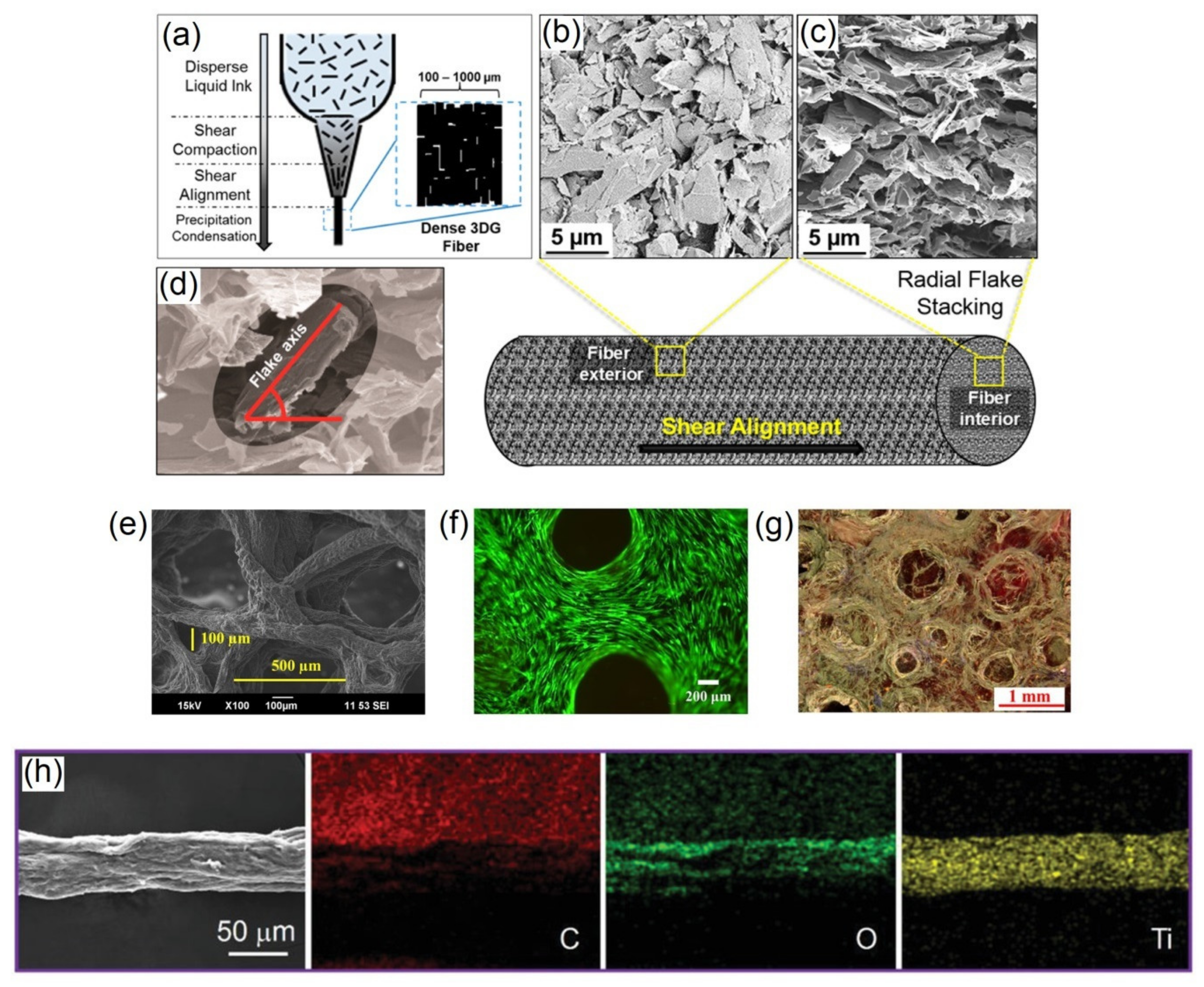 Polymers 13 00474 g006 Polymers 13 00474 g006