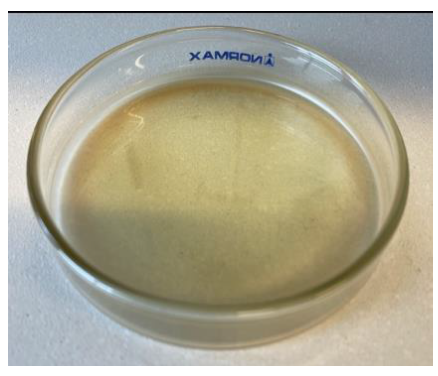 Polymers 13 00475 g001 Polymers 13 00475 g001