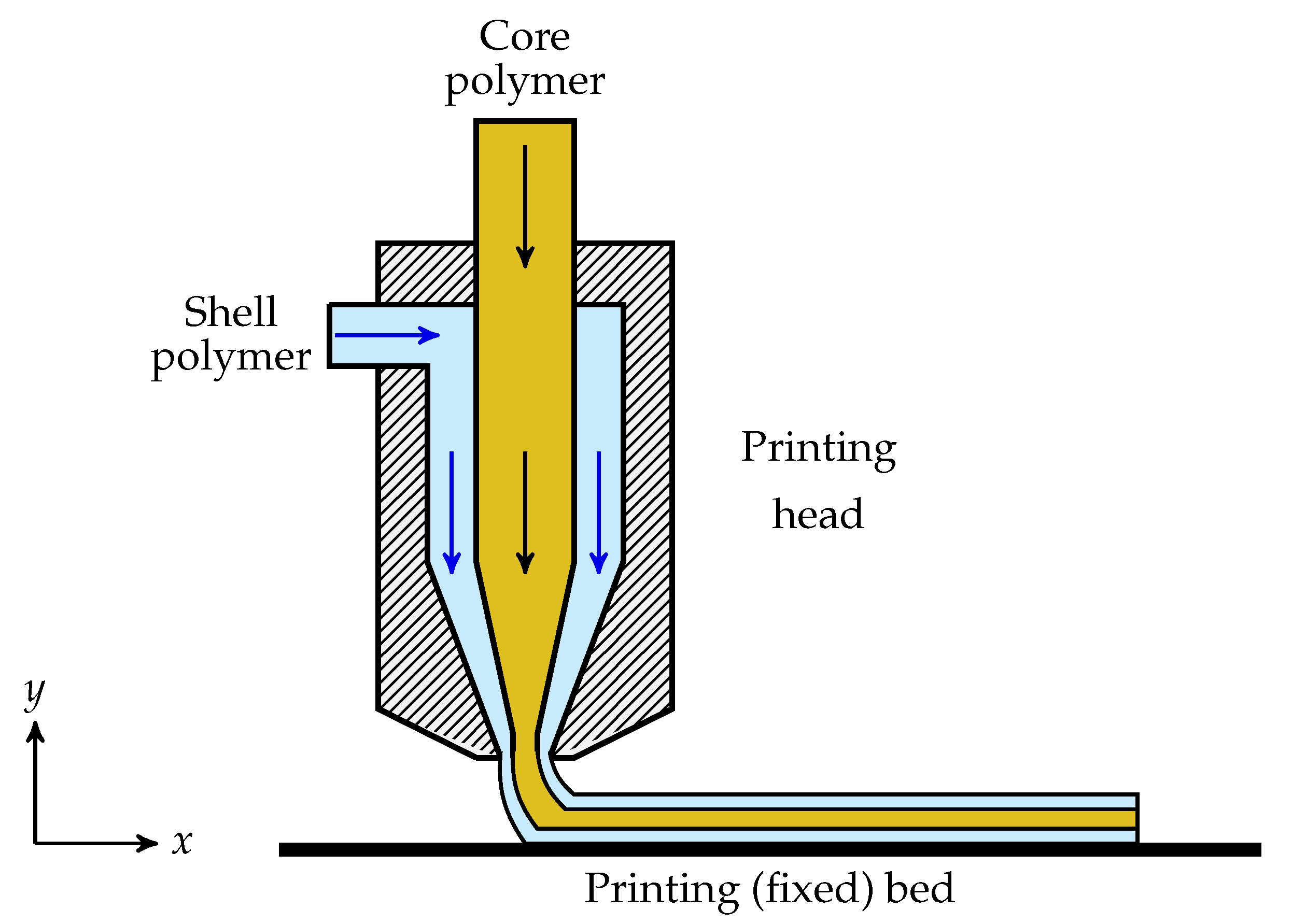 Polymers Free FullText Numerical Simulation of a CoreShell