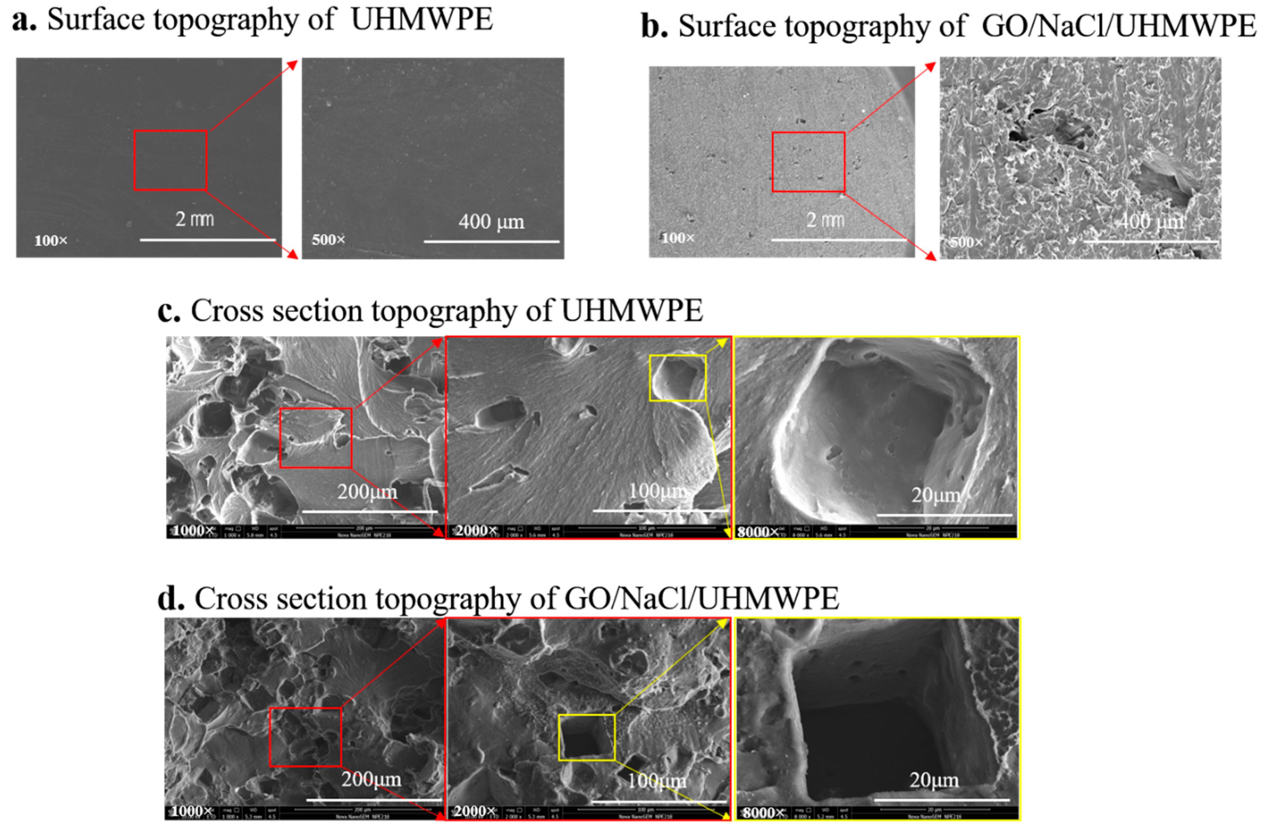 Polymers 13 00482 g004