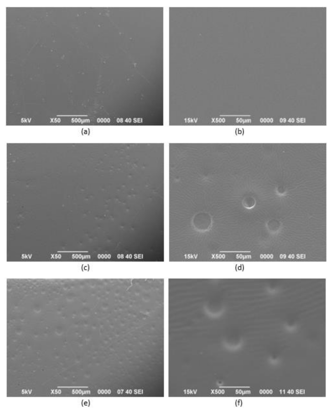 Polymers 13 00487 g005