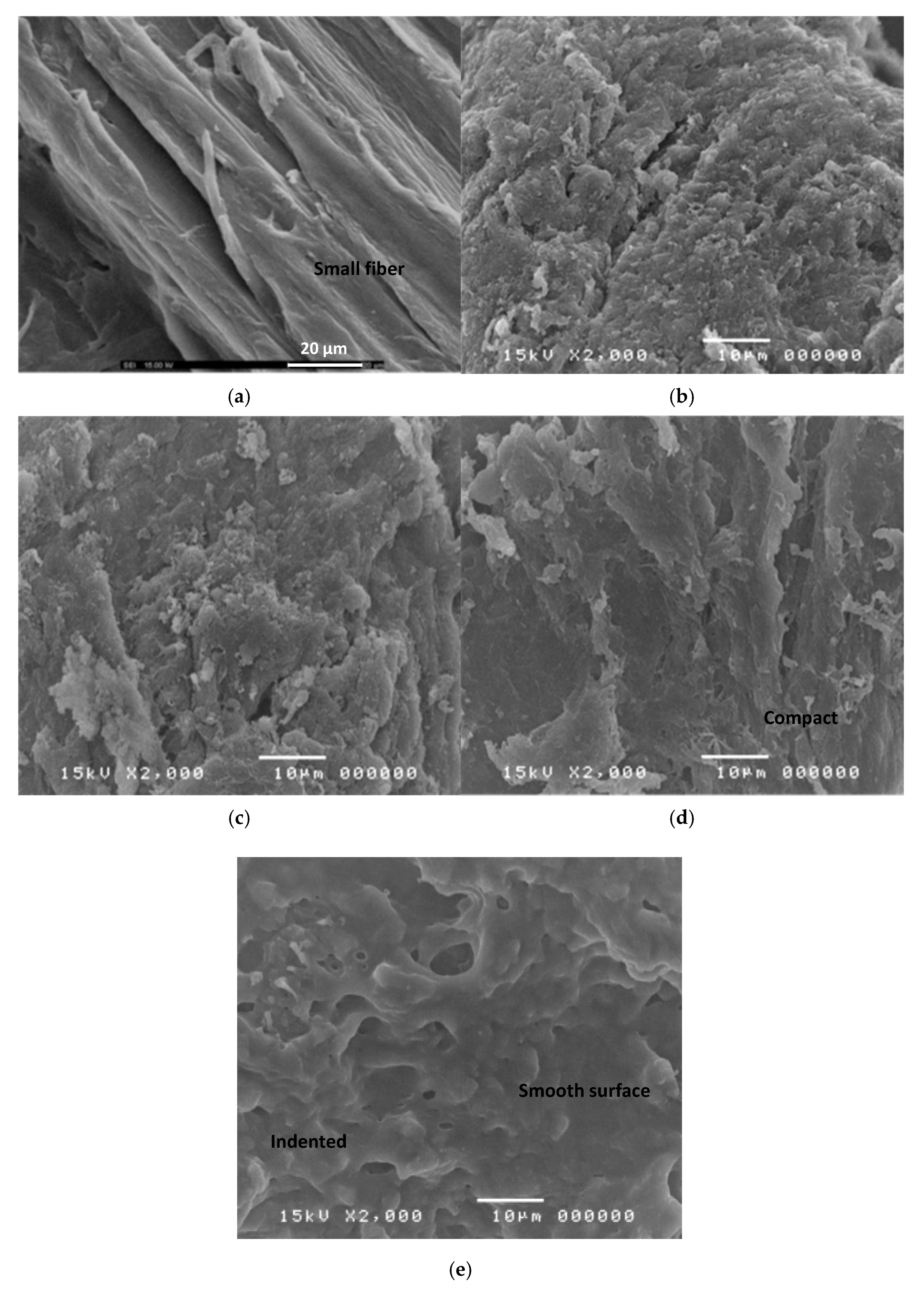 Polymers 13 00488 g006