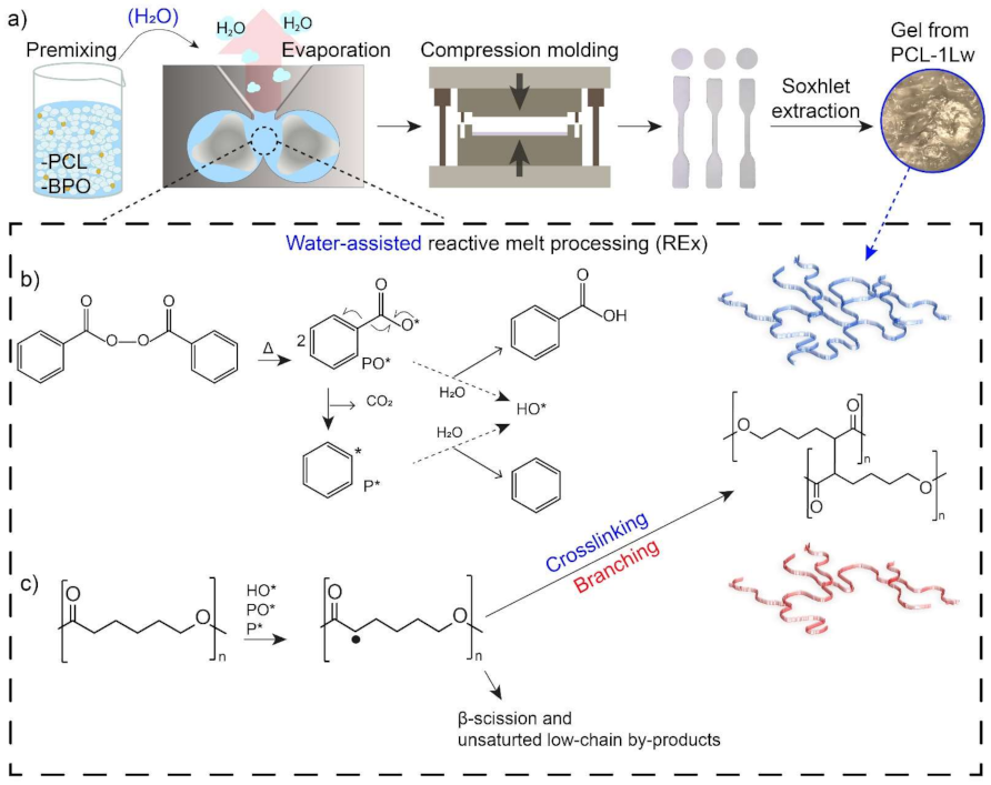 Polymers 13 00491 g001