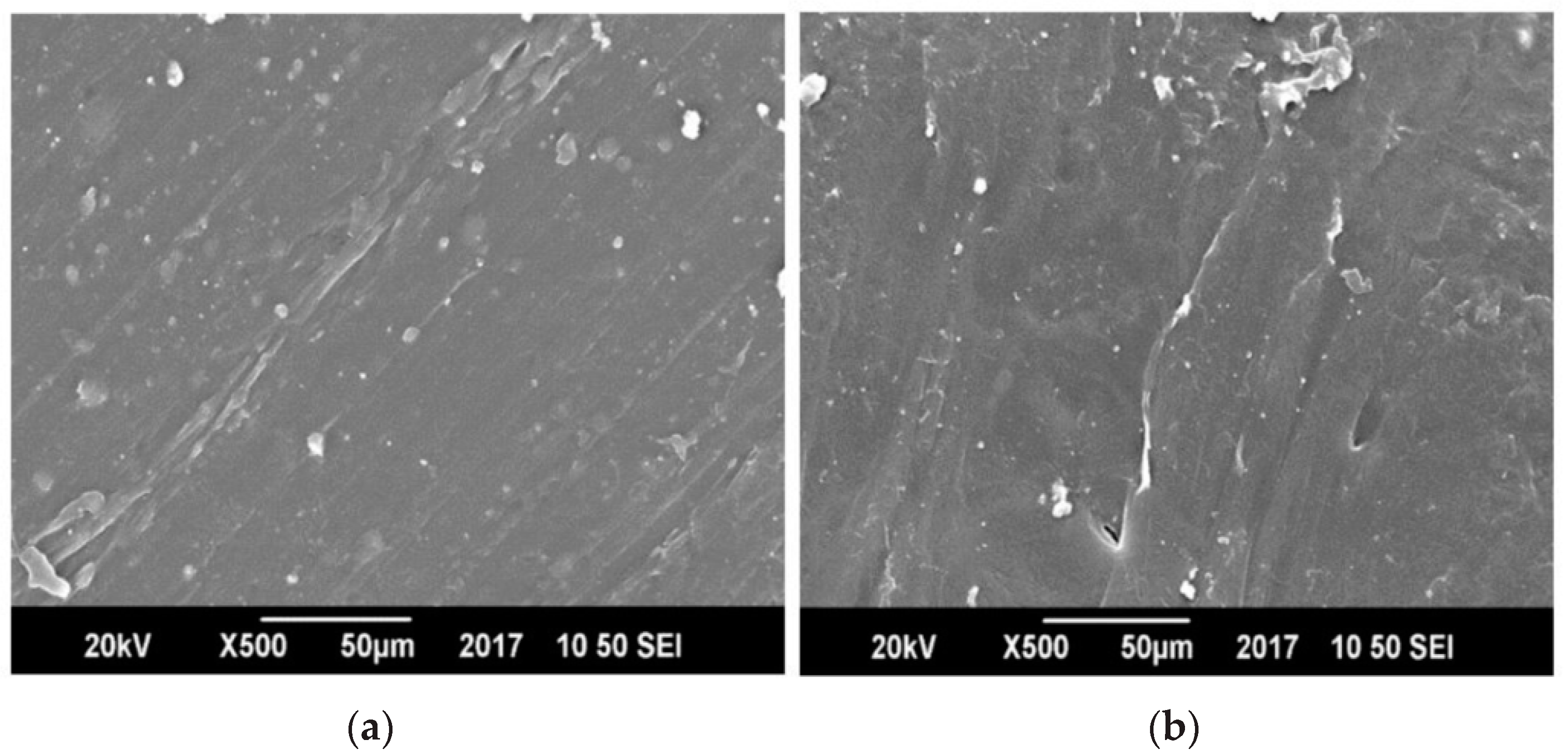 Polymers 13 00495 g009