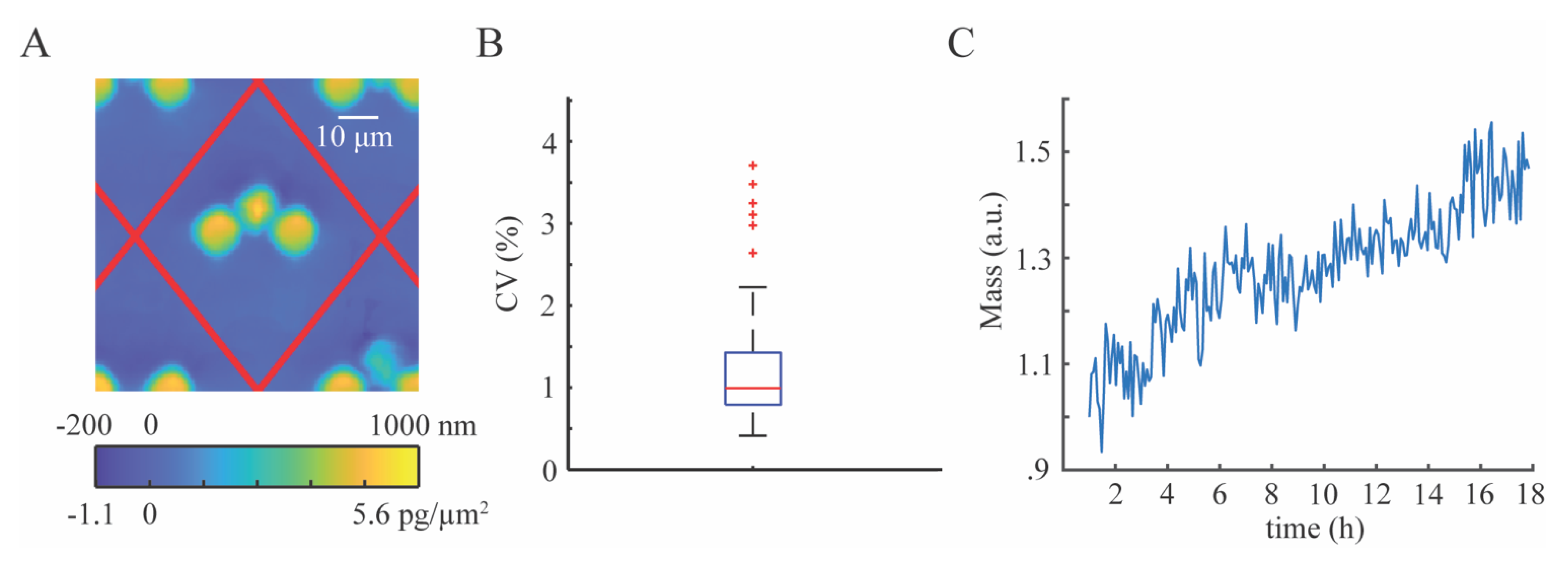 Polymers 13 00496 g006