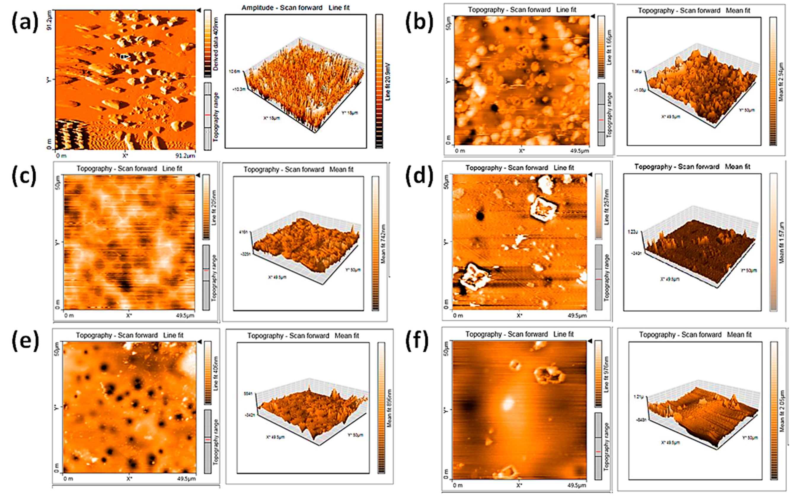 Polymers 13 00500 g006
