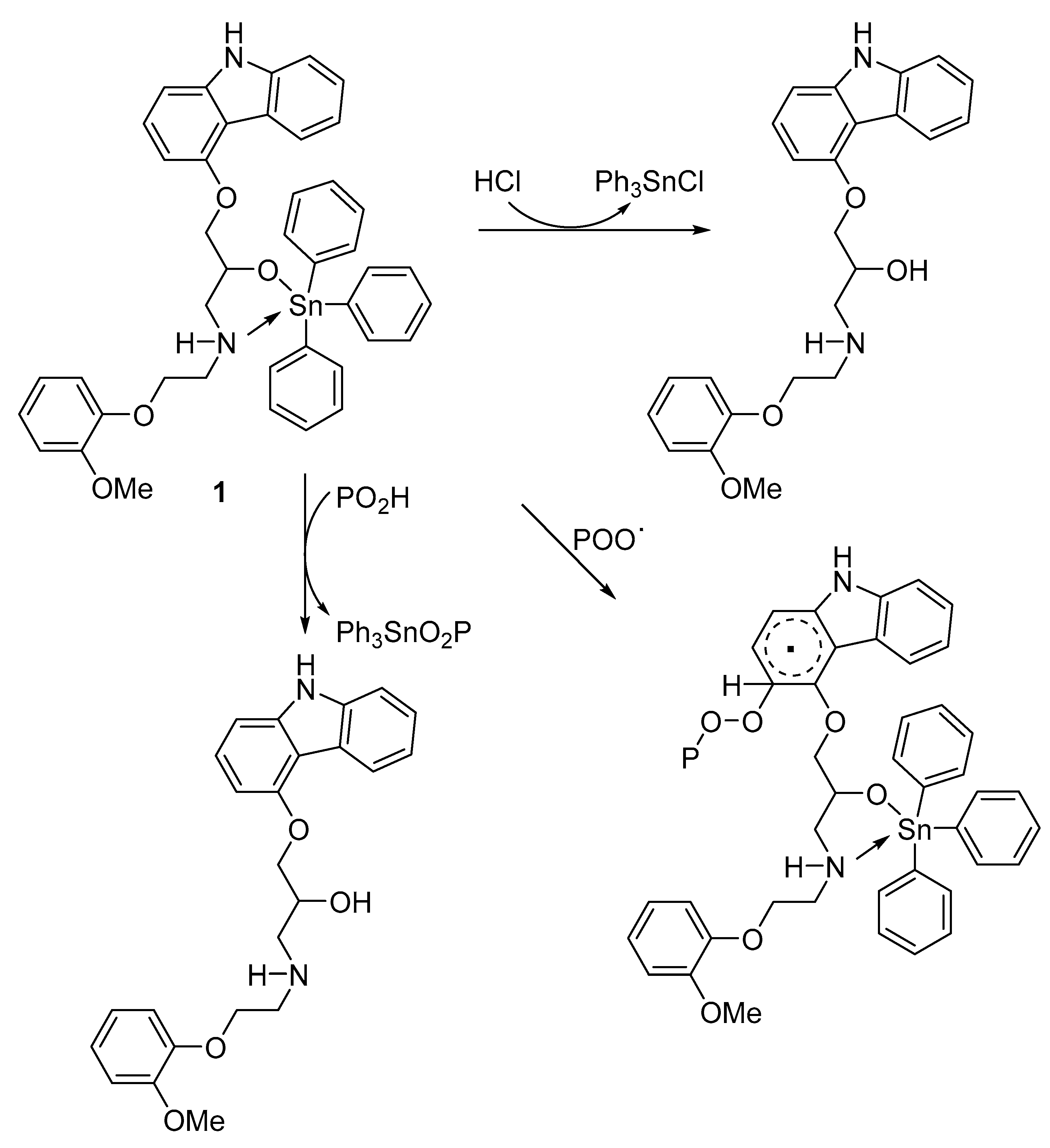 Polymers 13 00500 g008