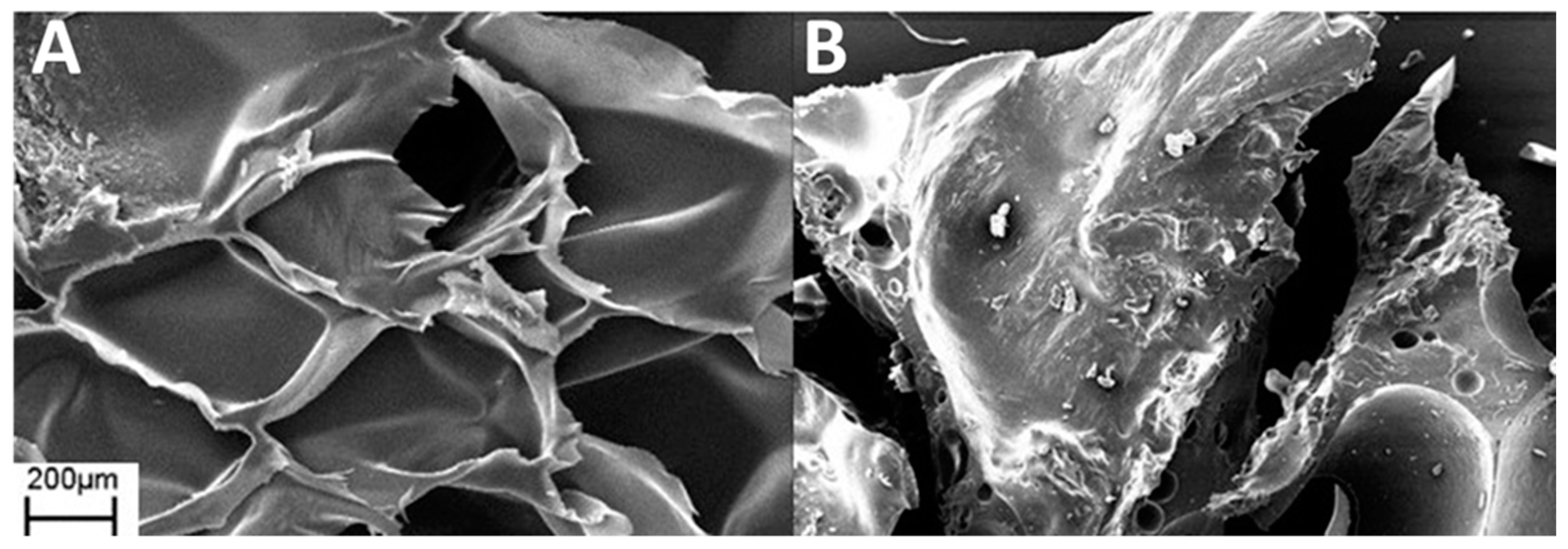 Polymers 13 00501 g010