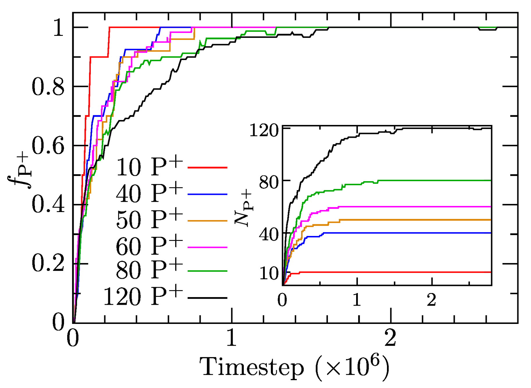 Polymers 13 00502 g005 Polymers 13 00502 g005