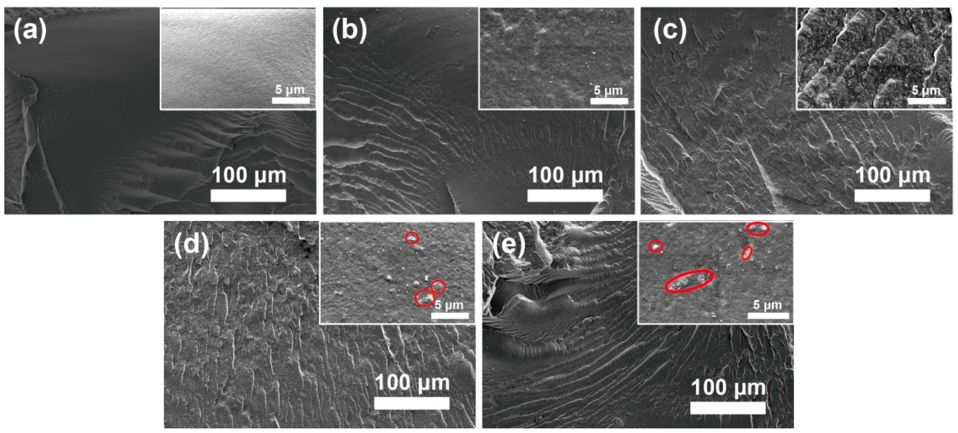 Polymers 13 00507 g003