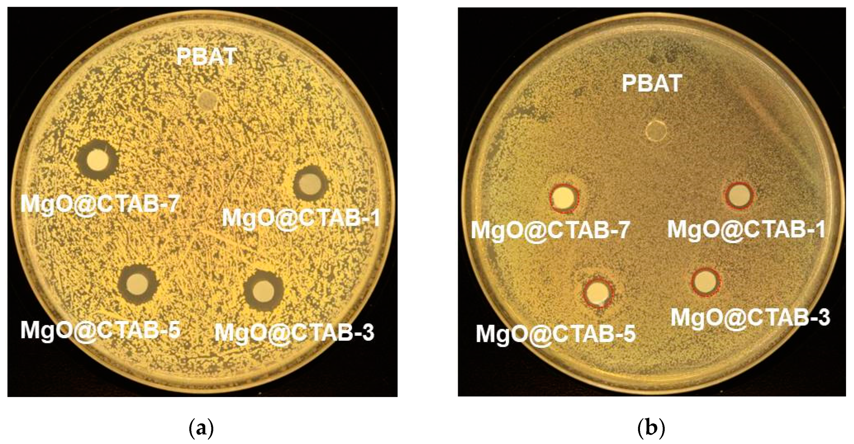 Polymers 13 00507 g009
