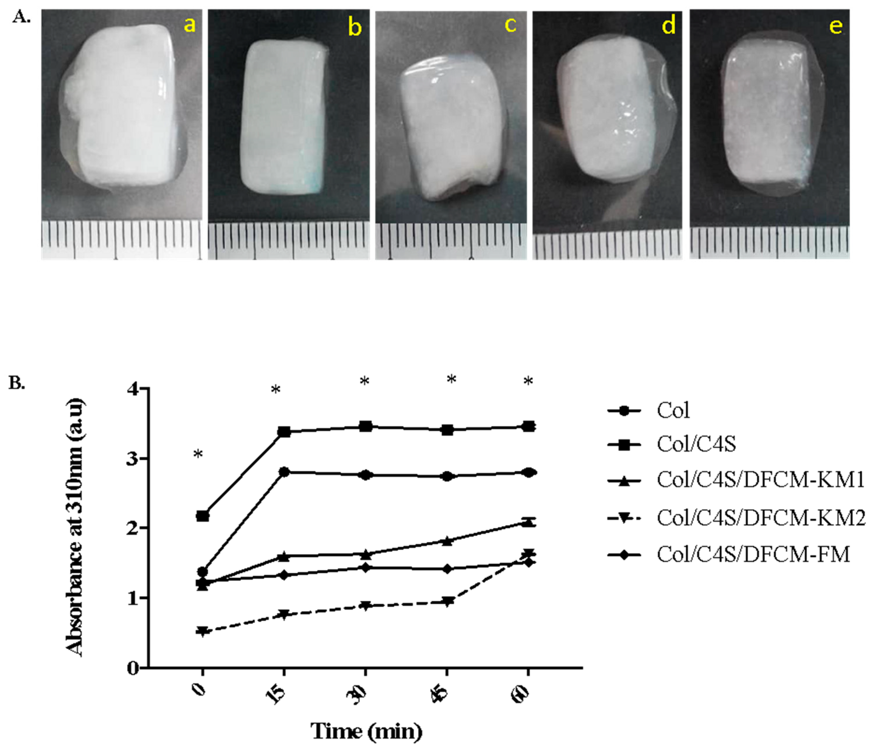Polymers 13 00508 g001 Polymers 13 00508 g001