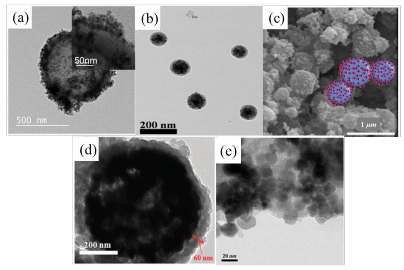 Polymers 13 00512 g002